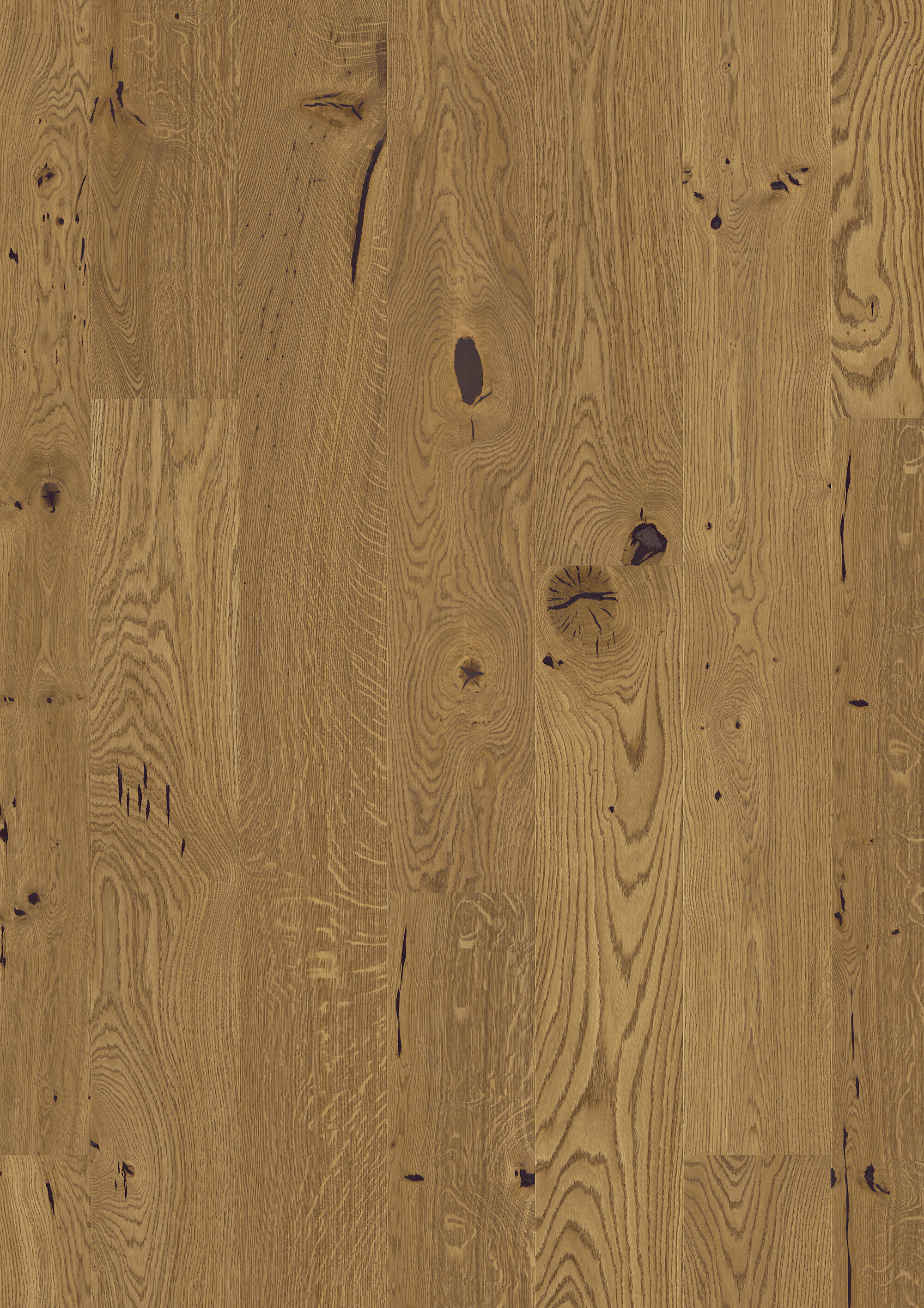 JOKA CALGARY 535 LD Parkettboden 3-S Landhausdiele | E7121 Eiche caramell COUNTRY ÖL