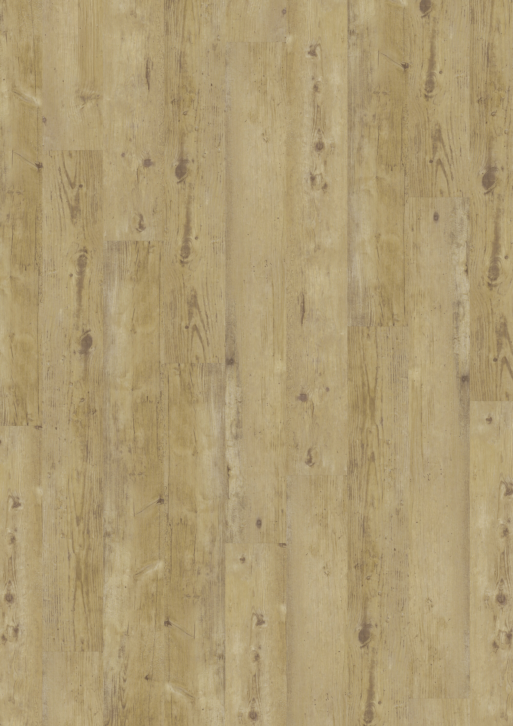 JOKA® DESIGN 340 - 2824 WormyLi.Oak
