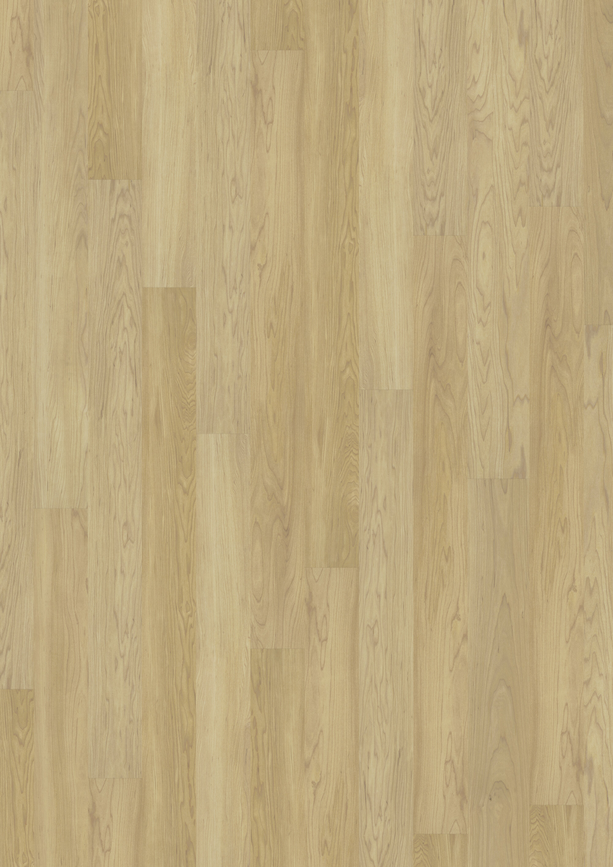 JOKA® DESIGN 340 - 2819 Creamy Maple