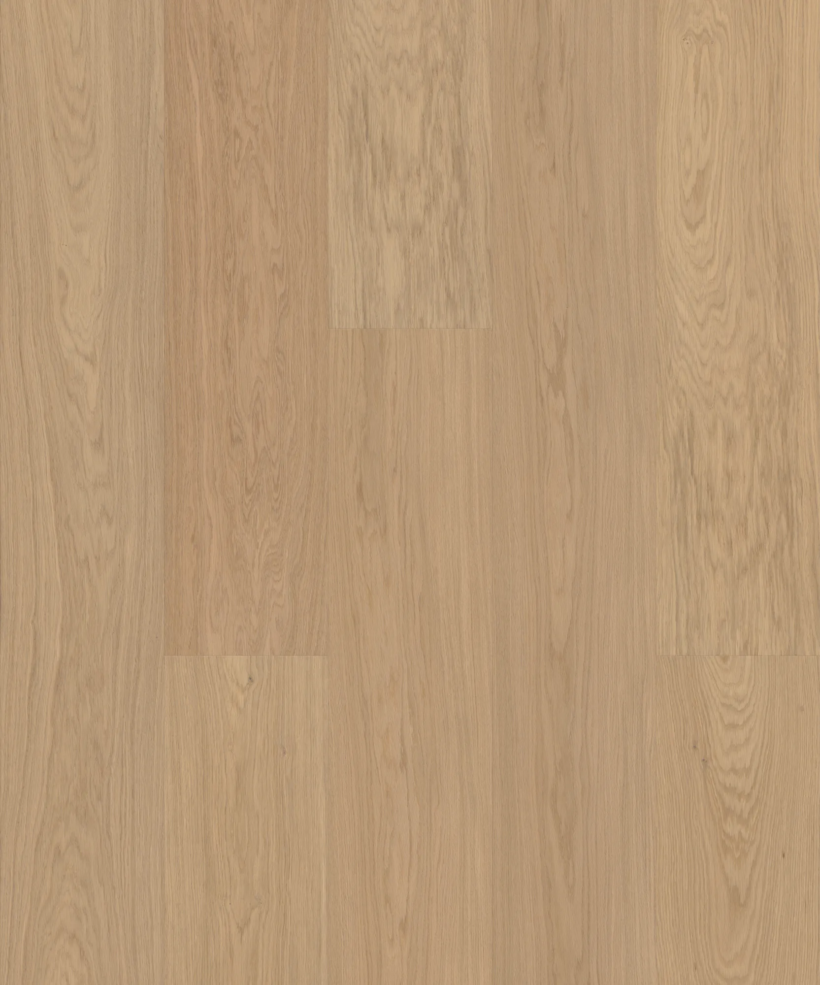 JOKA ATIVO 500 XXL Naturholzboden Landhausdiele 'AE164 Oak warm cream ELEG.VP'