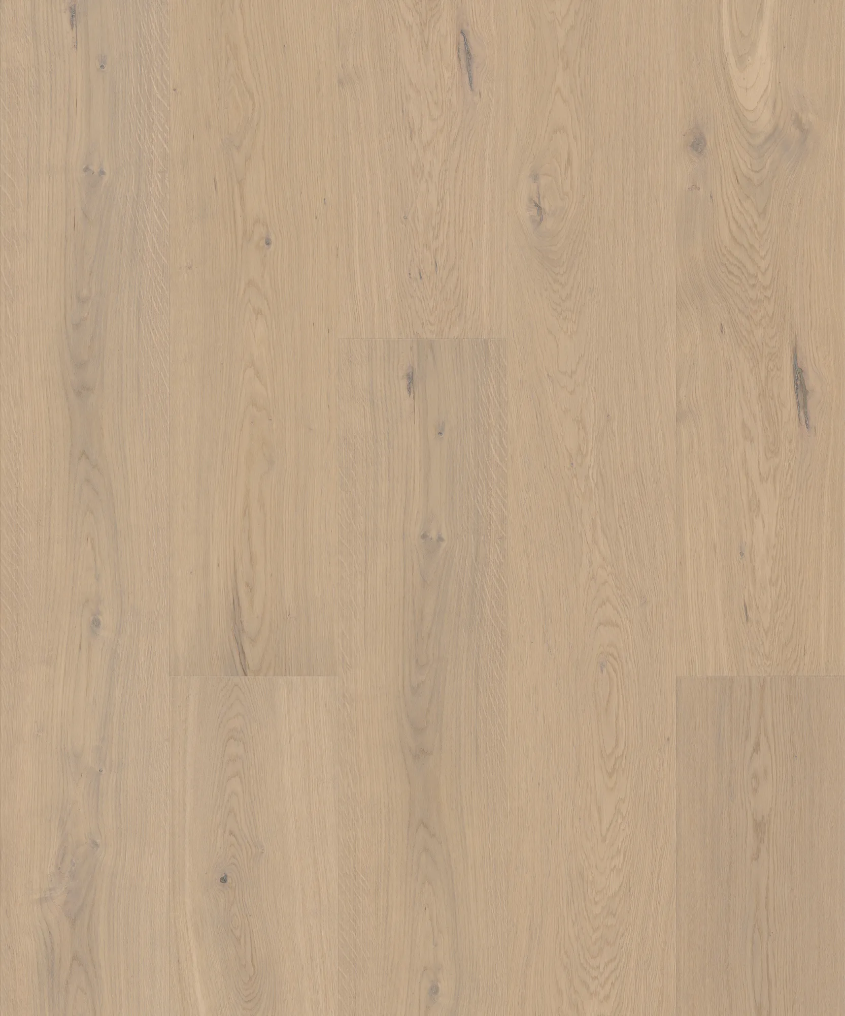 JOKA ATIVO 500 XXL Naturholzboden Landhausdiele 'AE665 Oak spring snow VILLA VP'