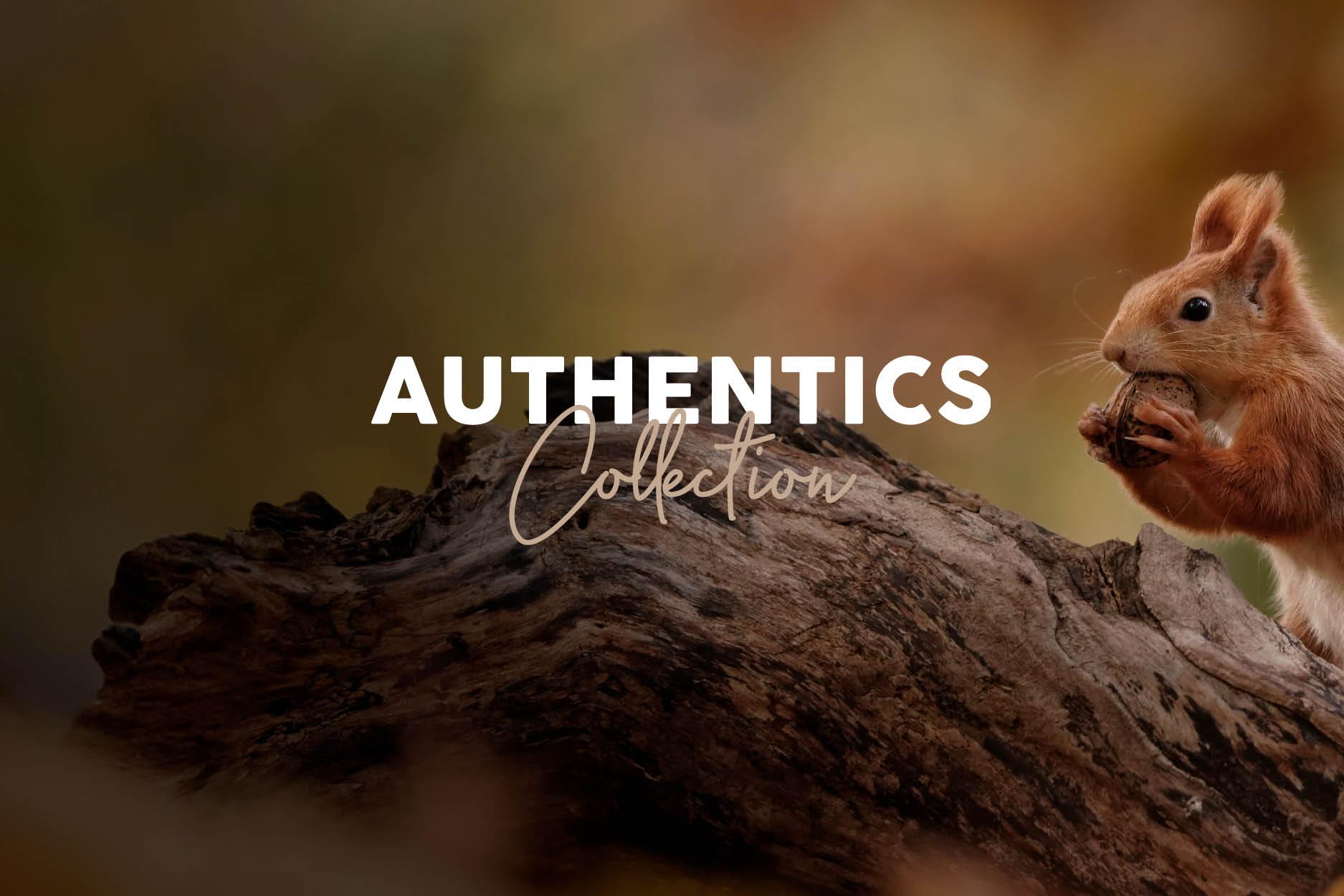 Authentics Kollektion