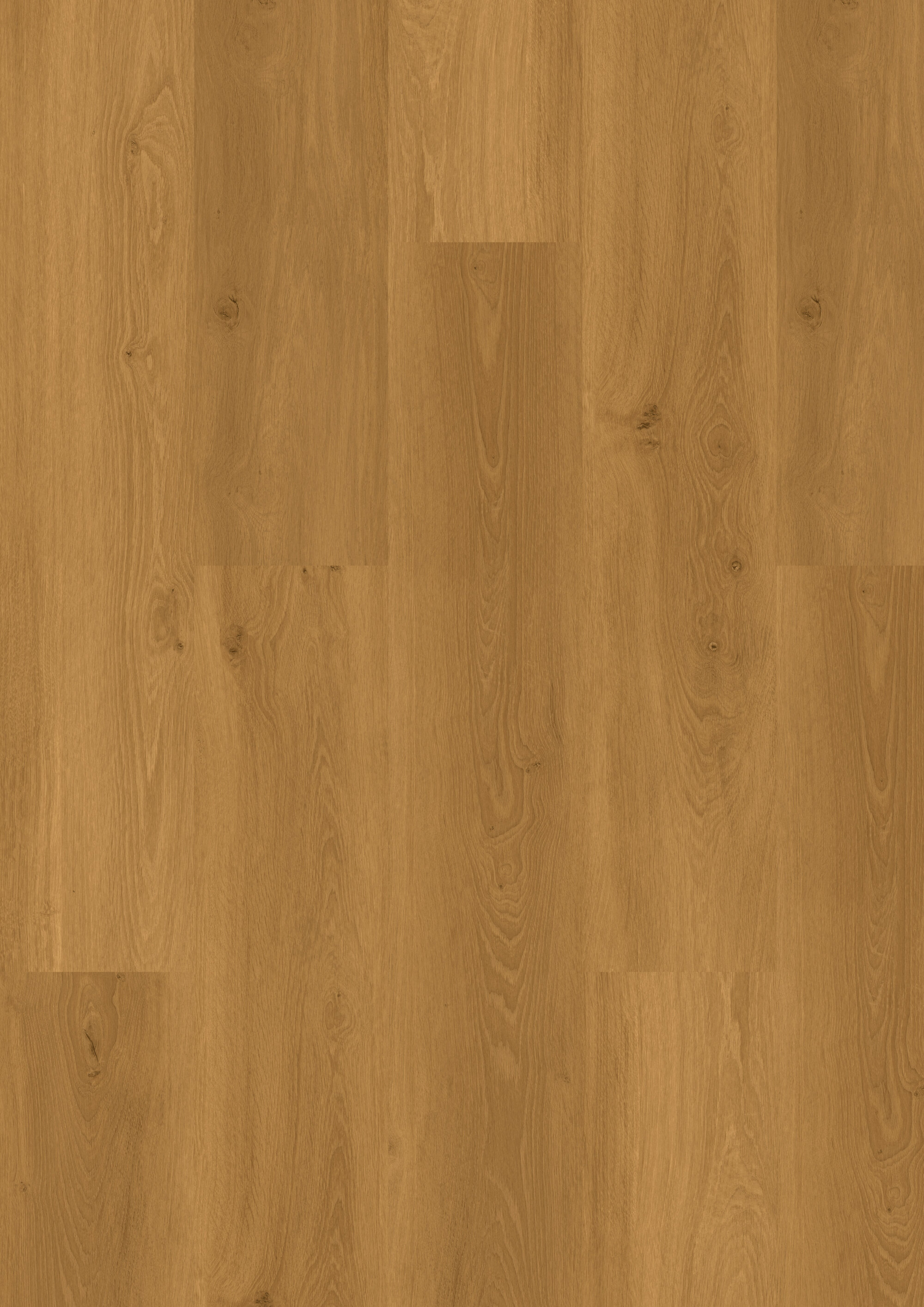 DESIGN 555 Wooden Styles Click - 705X OakNatura