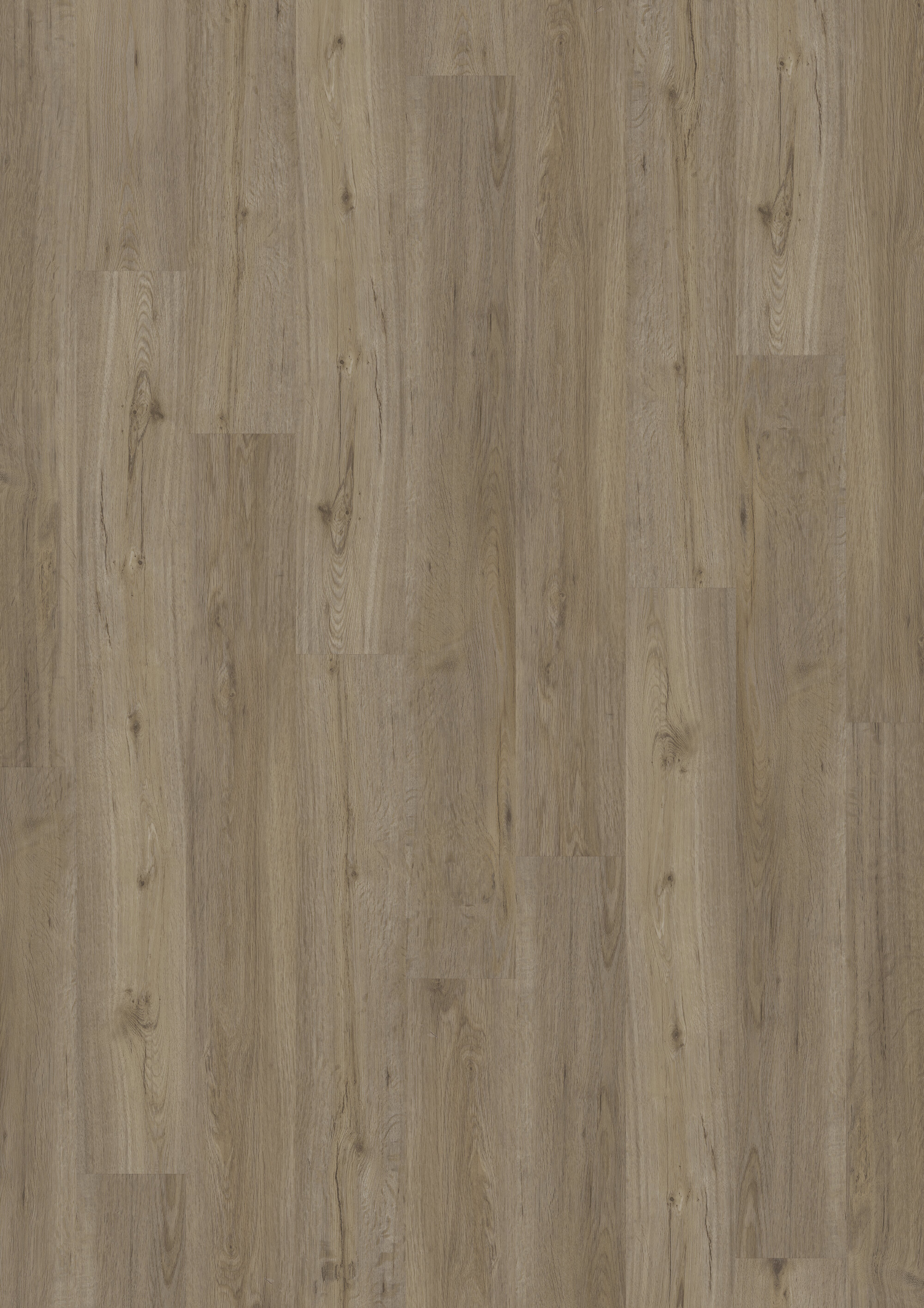JOKA® DESIGN 340 - 2833 Waxed Oak