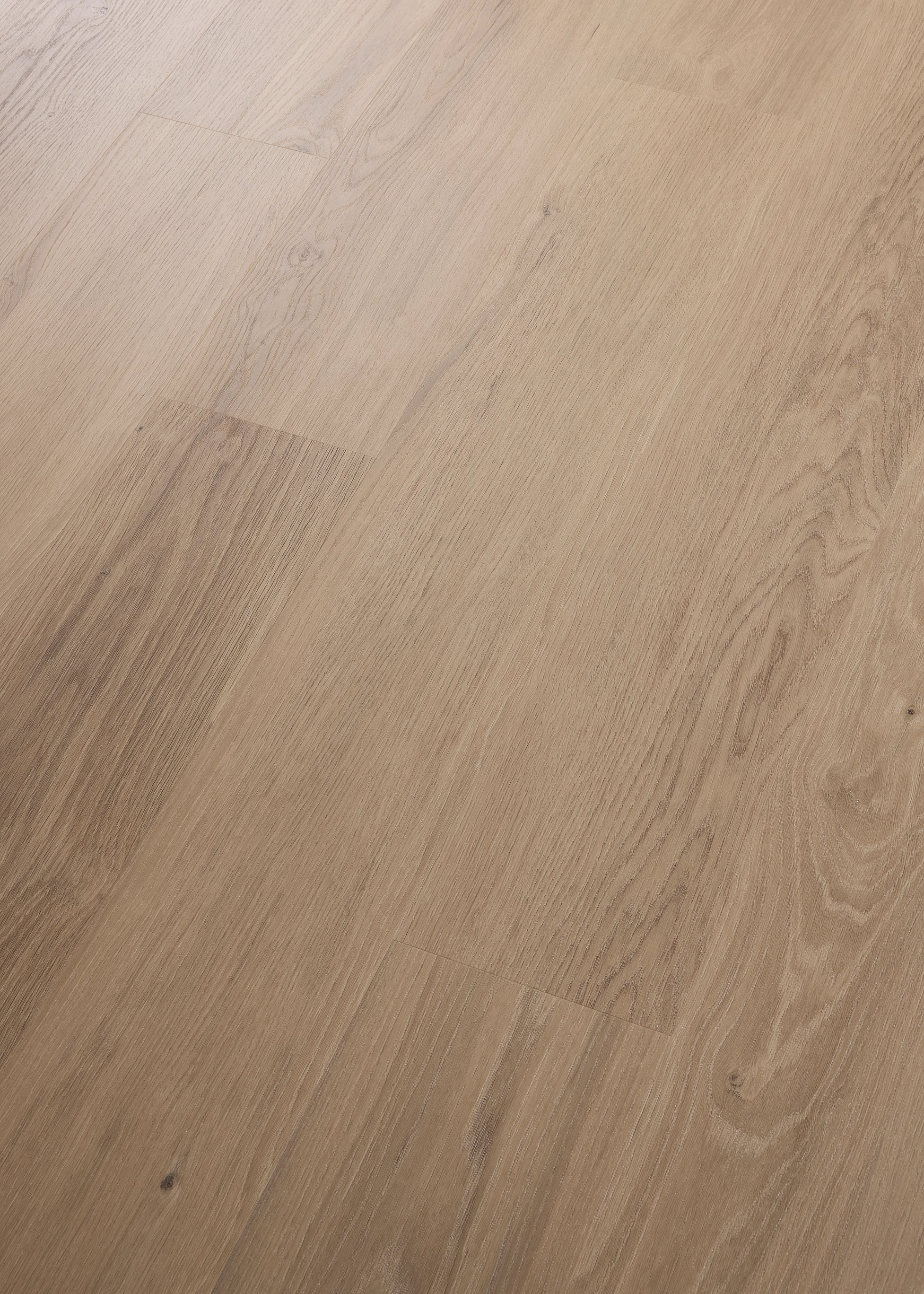 Nahaufnahme eines Laminatbodens in Eichenholzoptik mit natürlicher Maserung