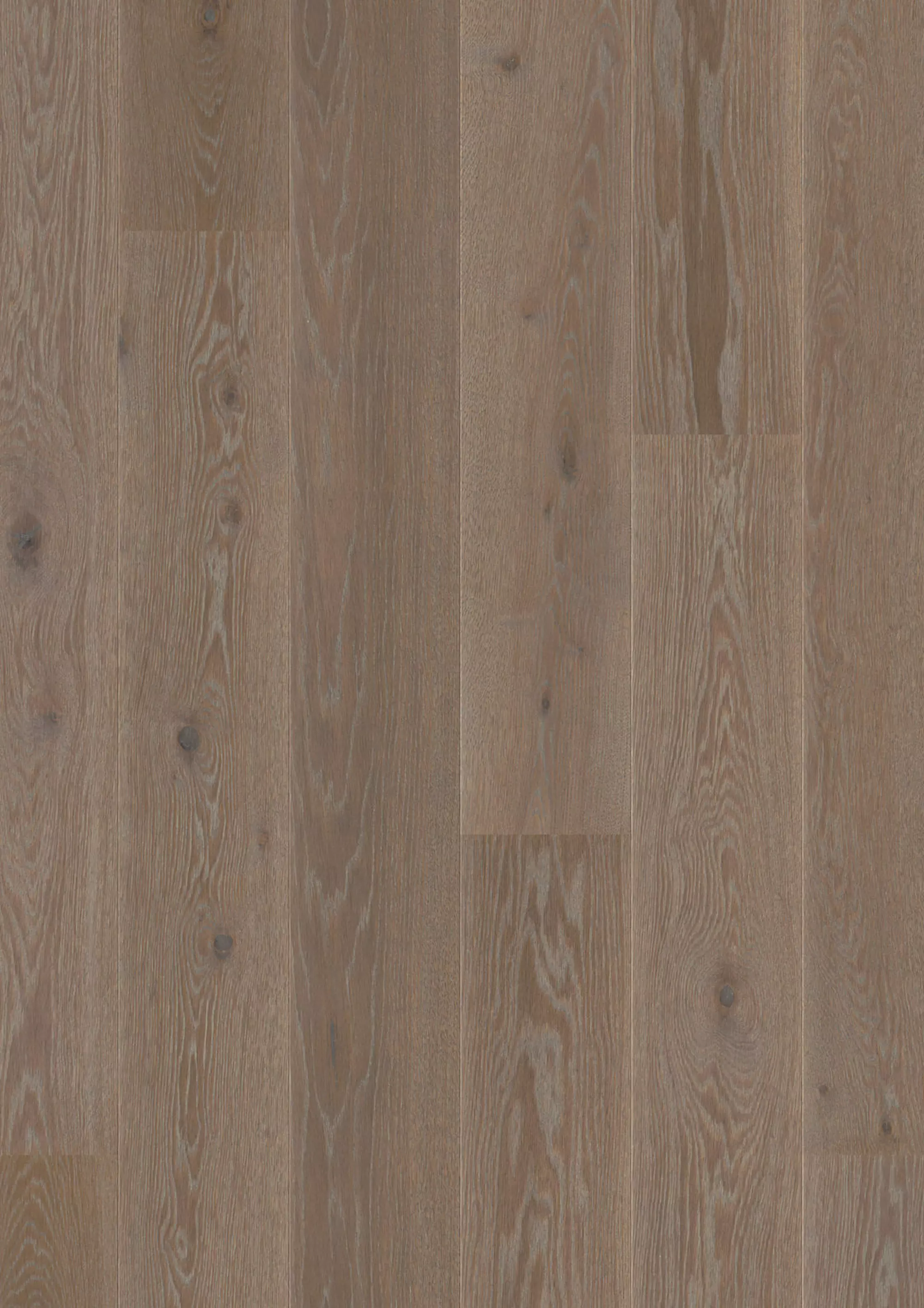 JOKA Parkett CALGARY 527LD 3-S Landhausdiele | E3408 Eiche indigo g.NATURE VP