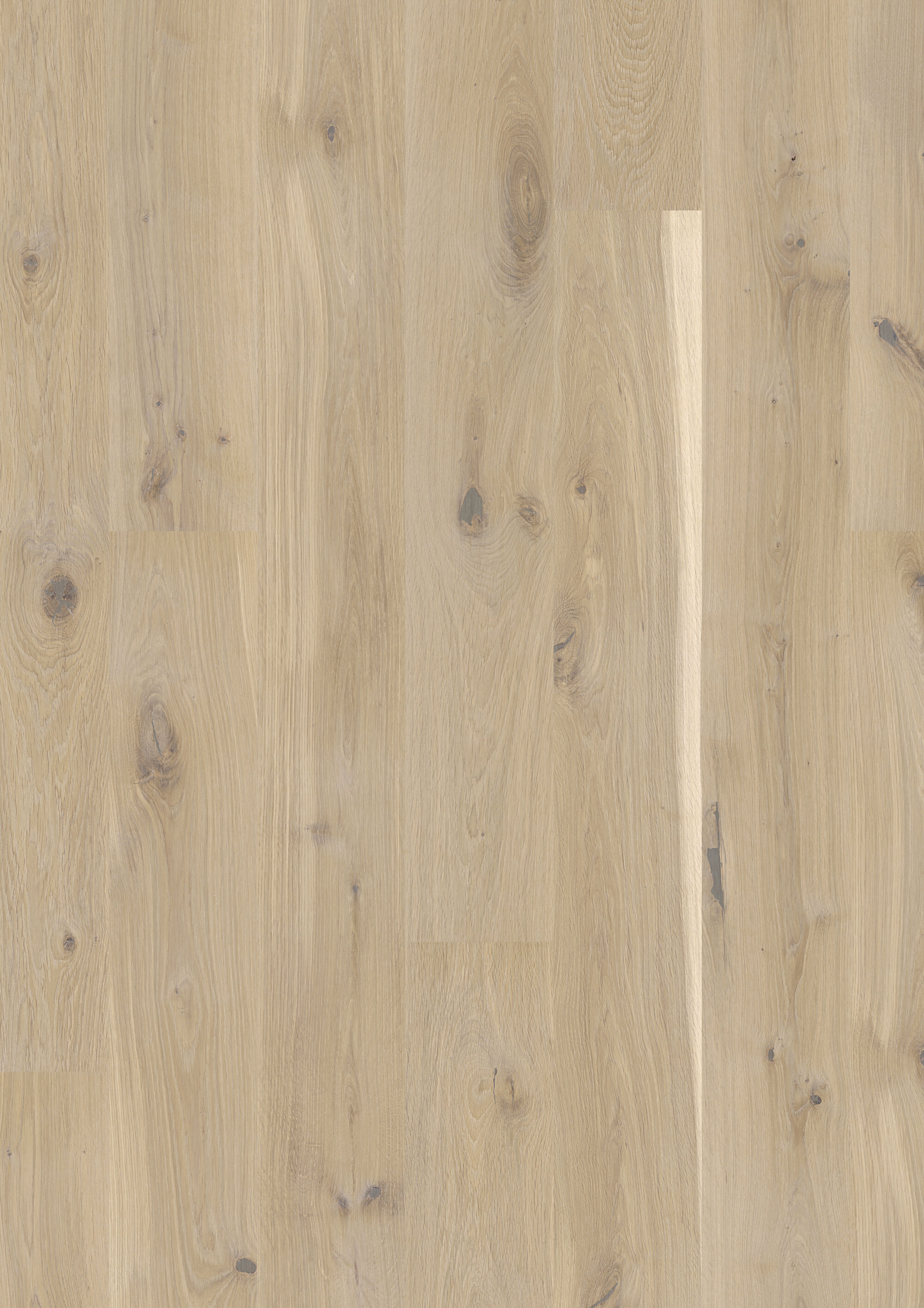 JOKA CALGARY 535 LD Parkettboden 3-S Landhausdiele | E5014 Eiche creme VILLA ÖL