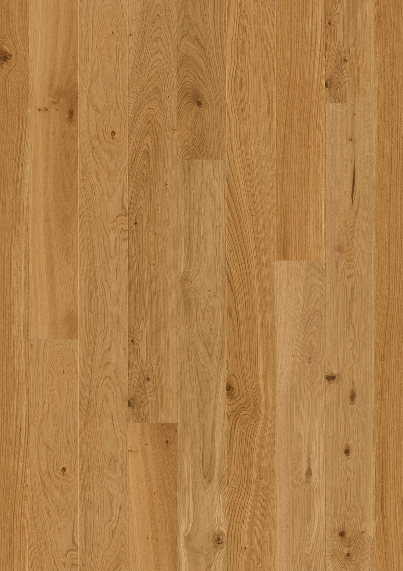 JOKA Parkett CALGARY 527LD EDITION 3-S Landhausdiele | E3913 Eiche geb. NATURE ÖL