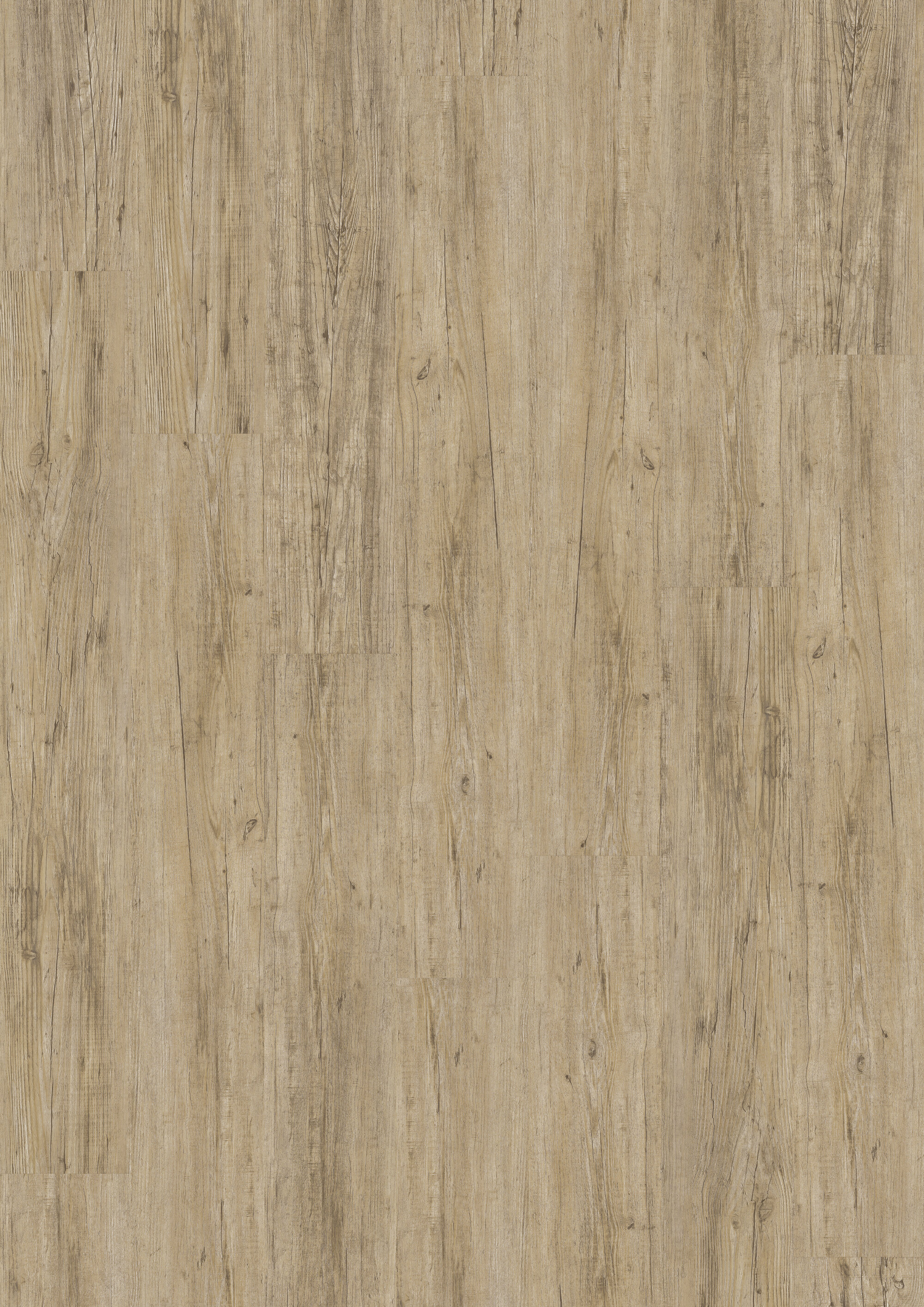 JOKA® DESIGN 340 - 2825 Wild Pine