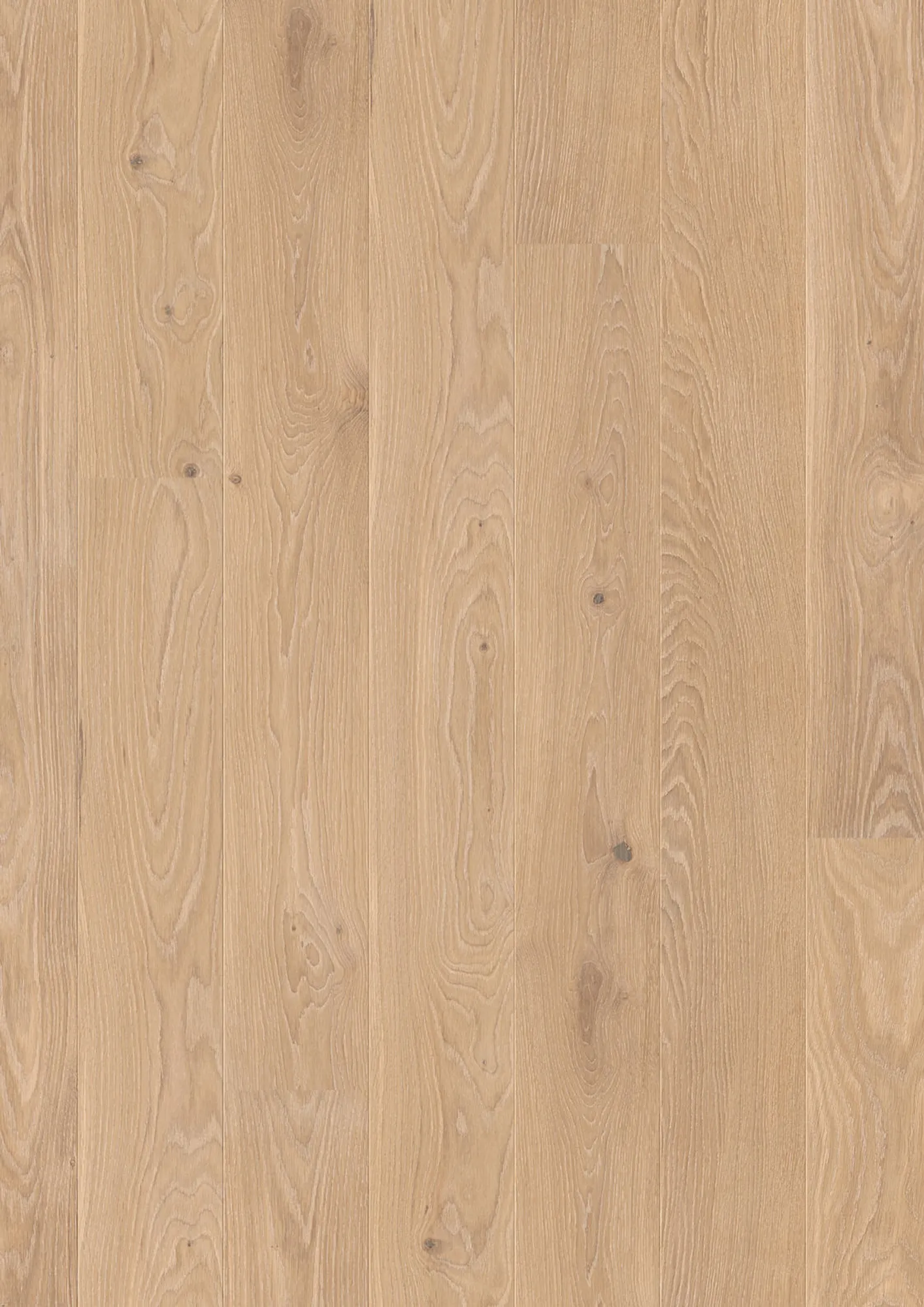 JOKA Parkett CALGARY 527LD 3-S Landhausdiele | E3425 Eiche nordic g.NATURE ÖL