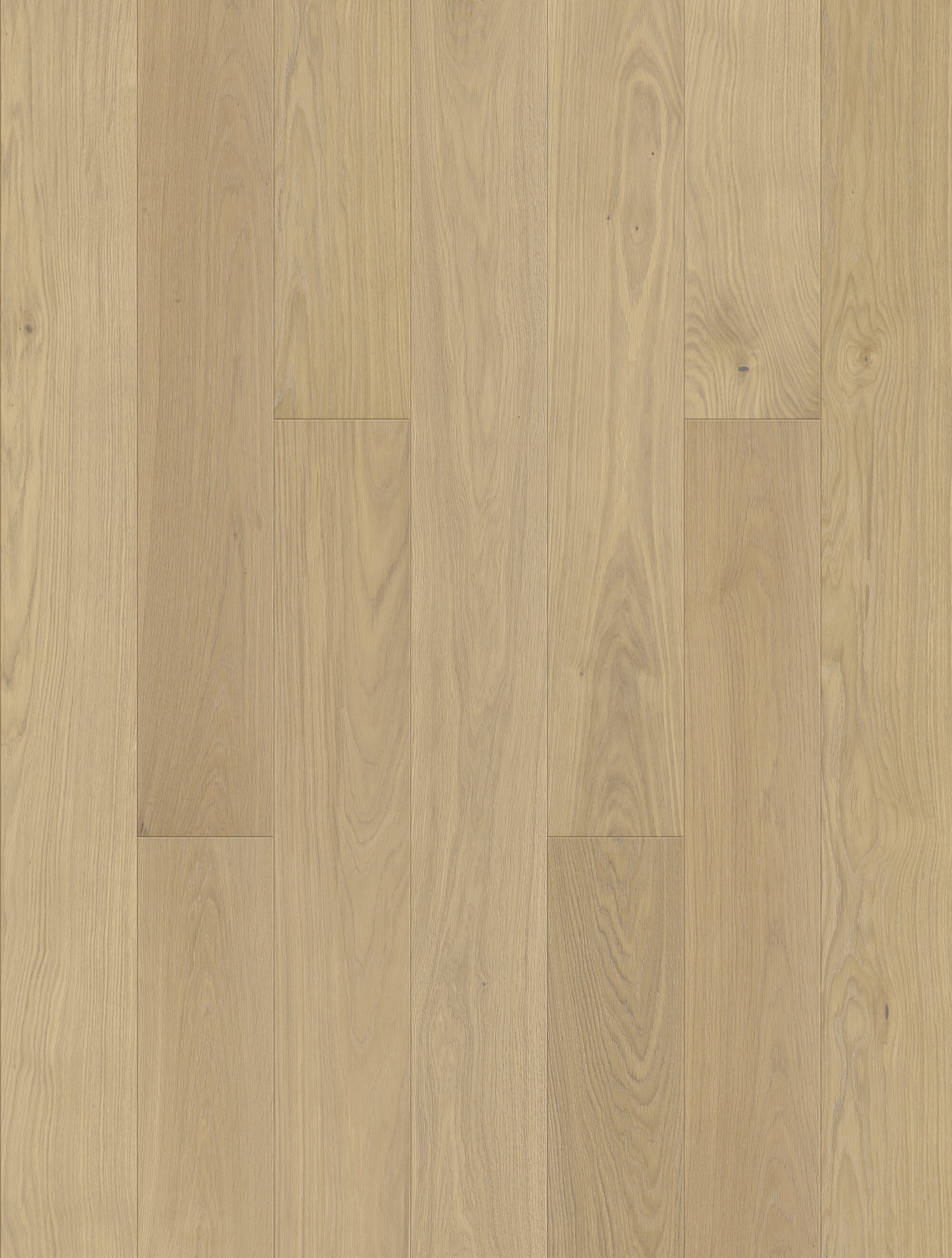Nahaufnahme eines hellen Eichenparkettbodens mit natürlicher Holzmaserung