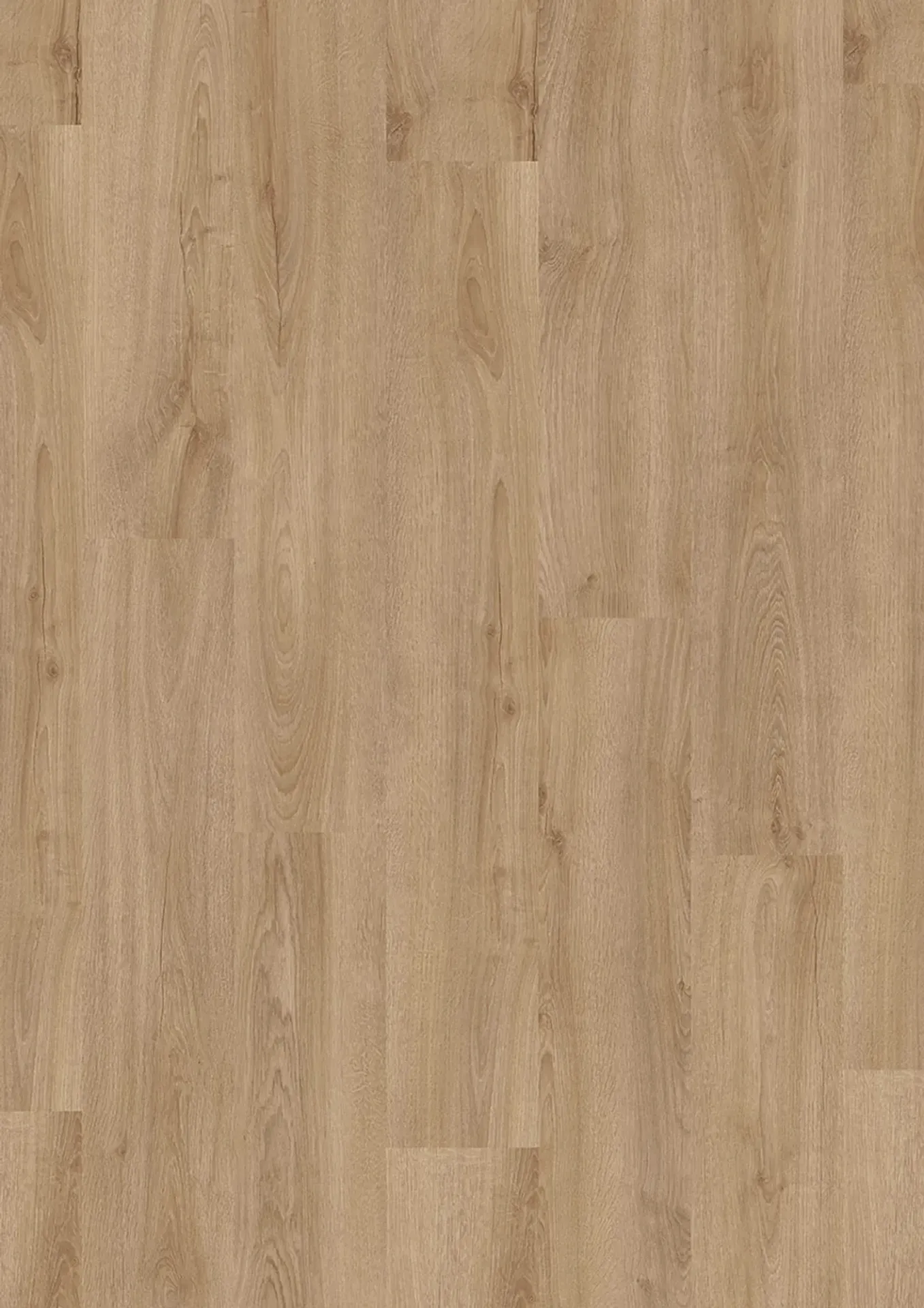 Forest Oak EIR