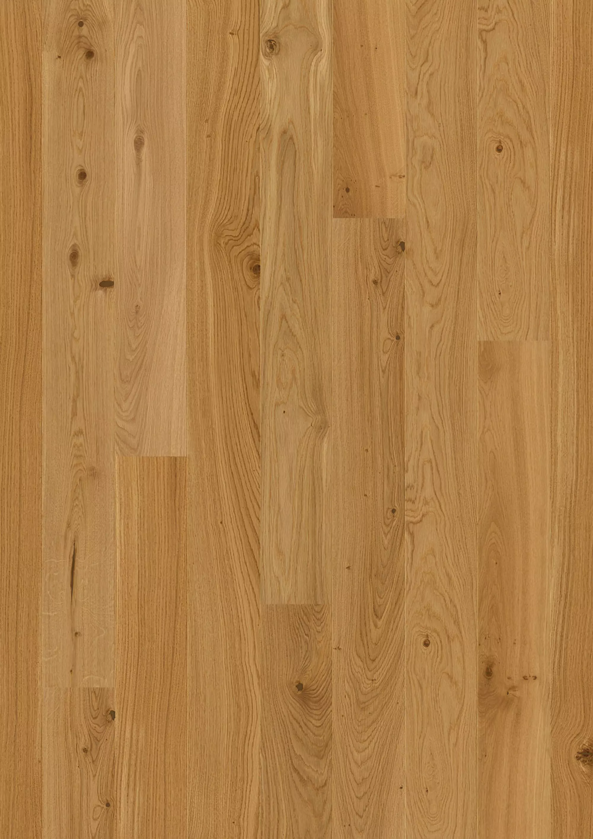 JOKA Parkett CALGARY 527LD EDITION 3-S Landhausdiele | E3903 Eiche geb. NATURE VP