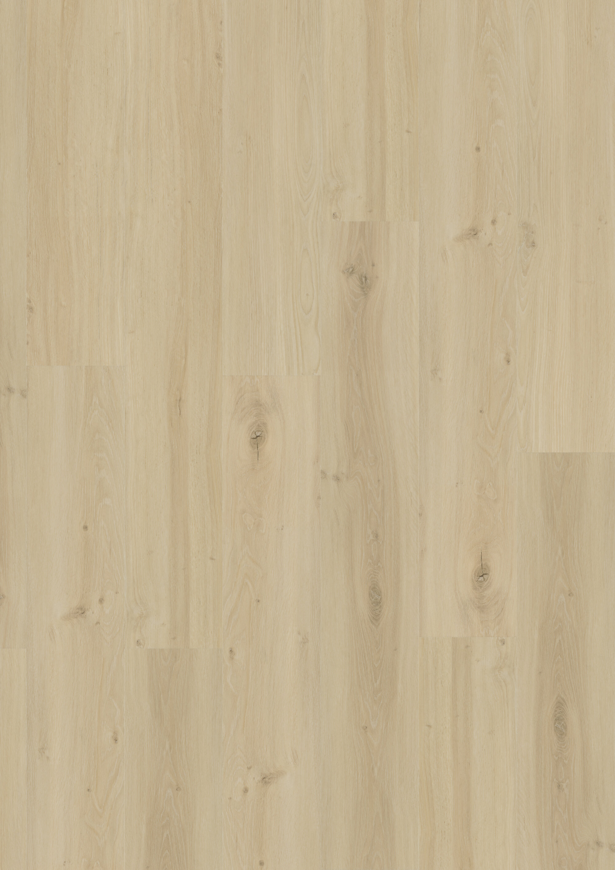 JOKA® DESIGN 340 - 2880 Mellow Oak
