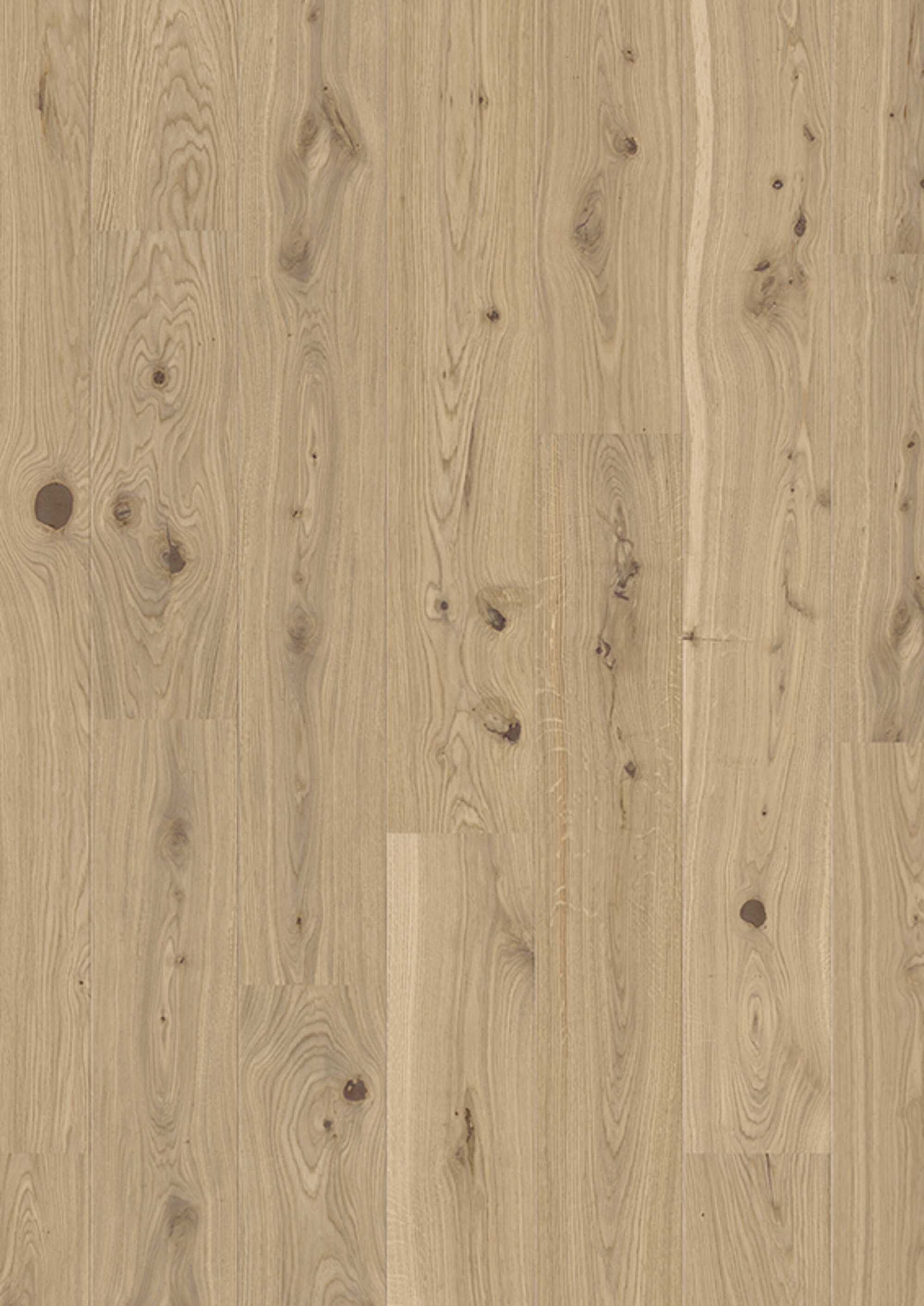 Detailansicht eines Laminatbodens in heller Eiche mit natürlicher Holzmaserung