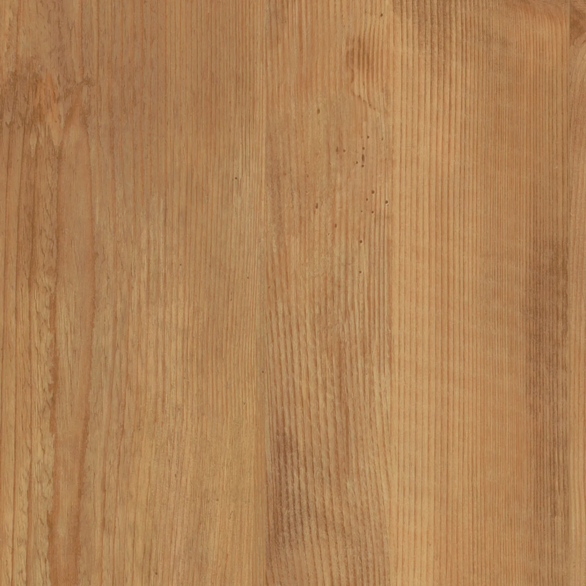 Golden Pine