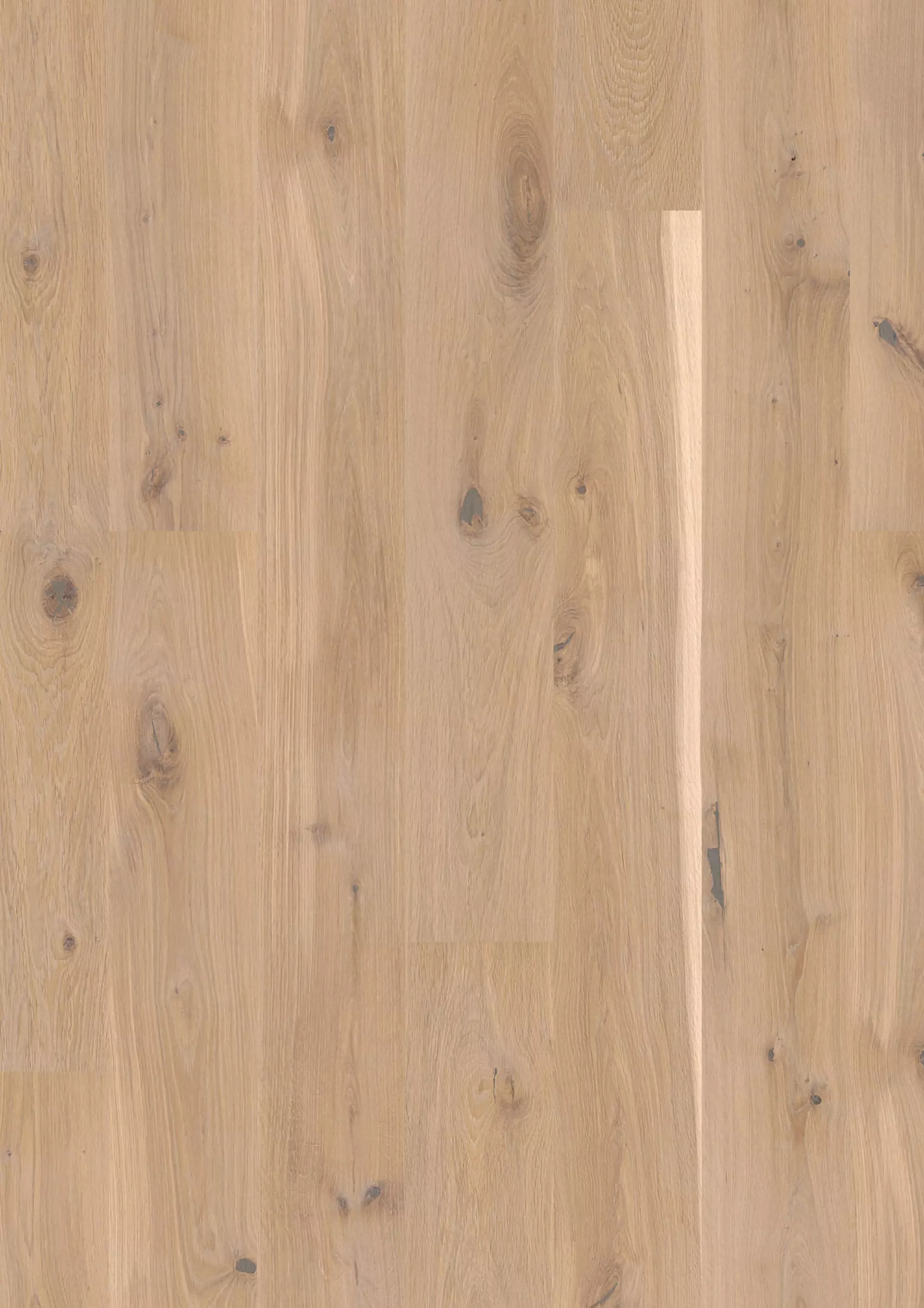 JOKA Parkett CALGARY 527LD 3-S Landhausdiele | E5414 Eiche creme VILLA ÖL