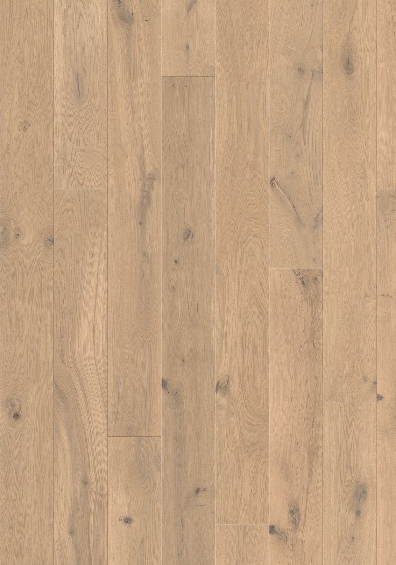 JOKA 130 XL CASTLE DIELE / Fertigparkett 2-S mit Nut u.Feder-System | CE514 Eiche creme g.VILLA V4ÖL