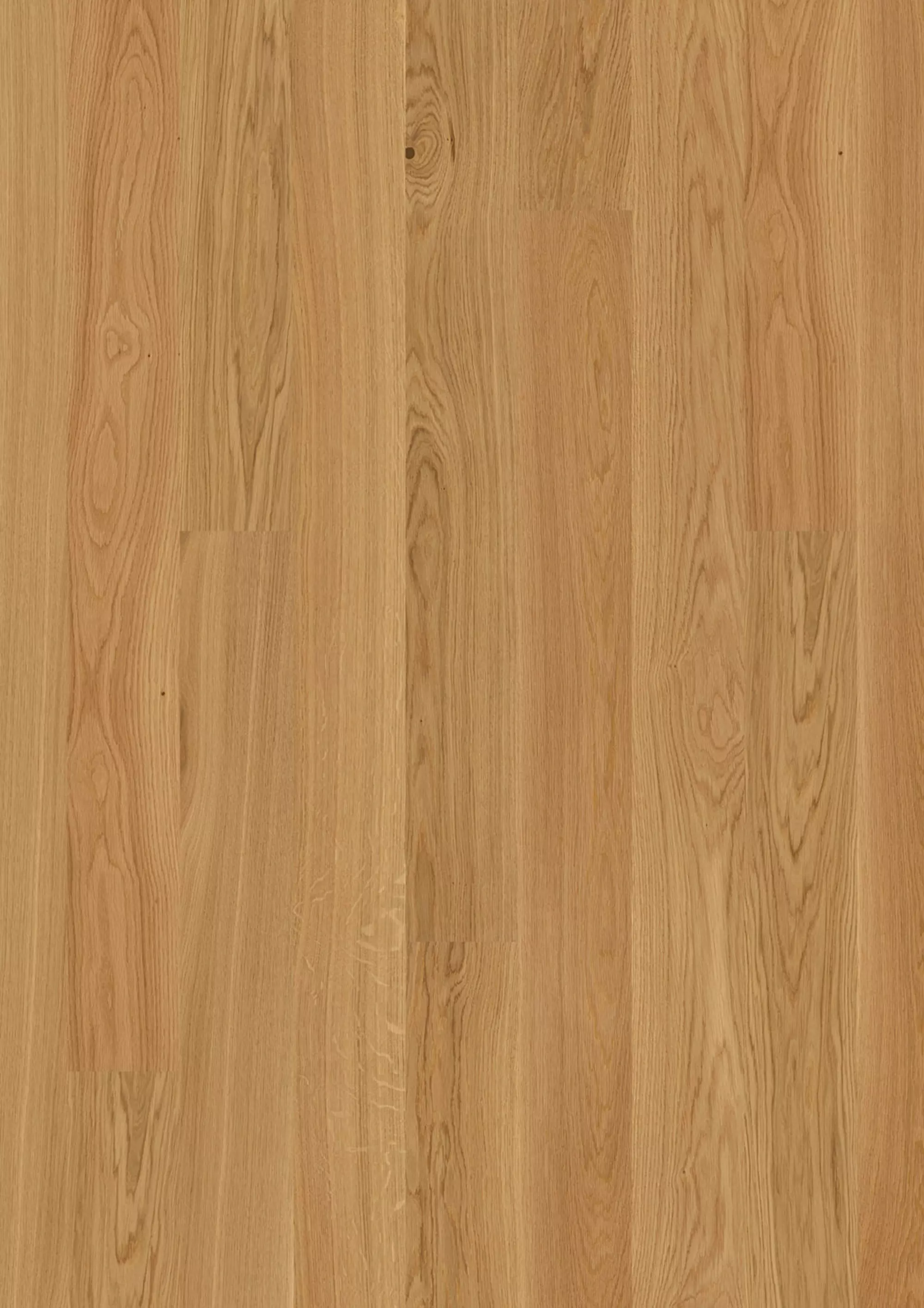 JOKA Parkett CALGARY 527LD EDITION 3-S Landhausdiele | E0903 Eiche geb. ELEGANCE VP