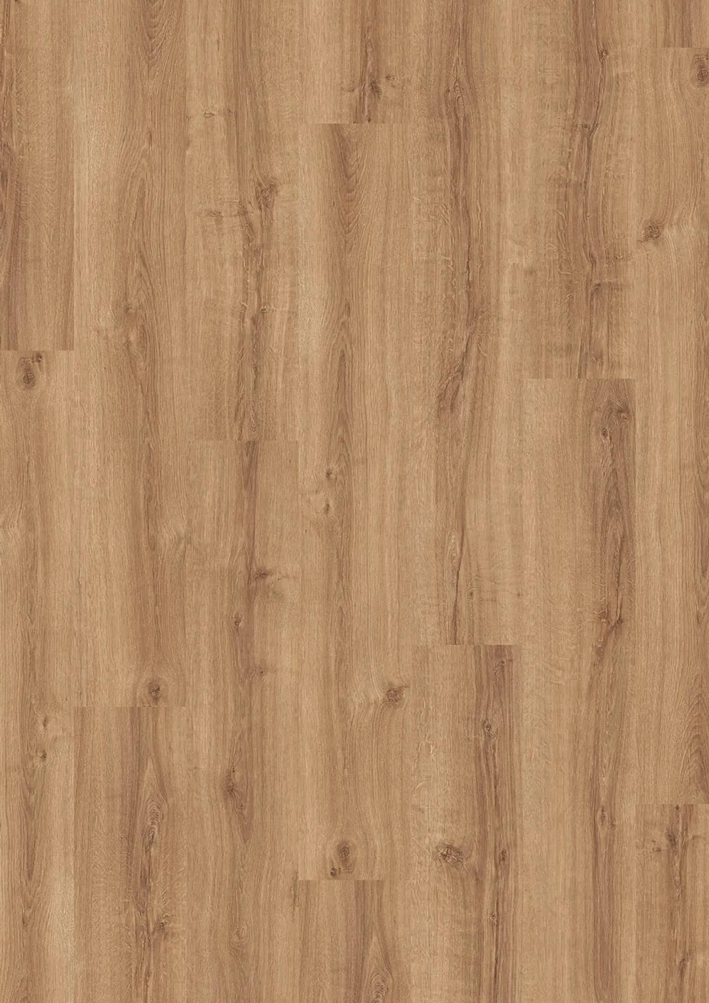 DESIGN 555 Wooden Evolut Click - 914 Summer Oak