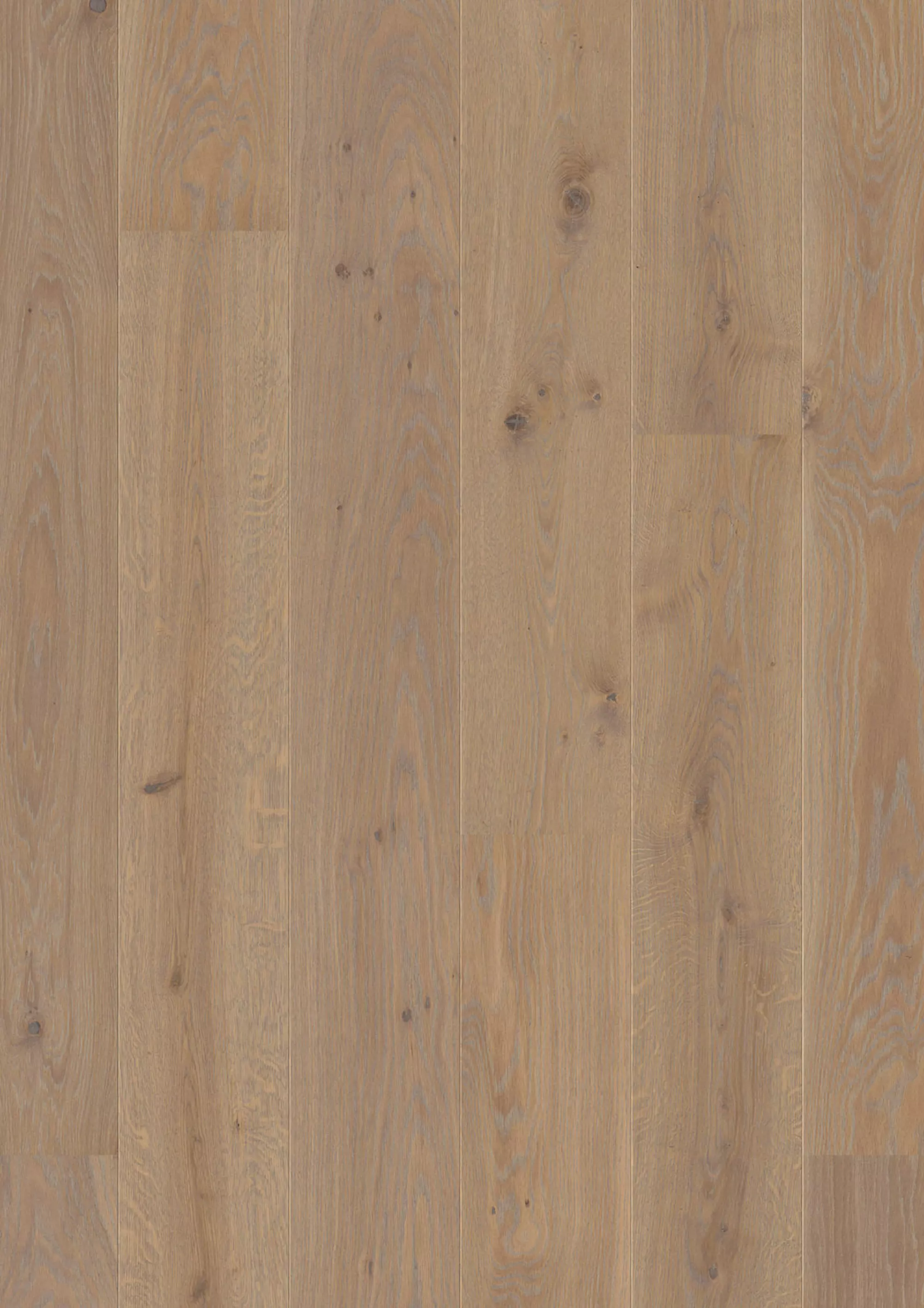 JOKA Parkett CALGARY 527LD 3-S Landhausdiele | E3406 Eiche stone g. NATURE VP