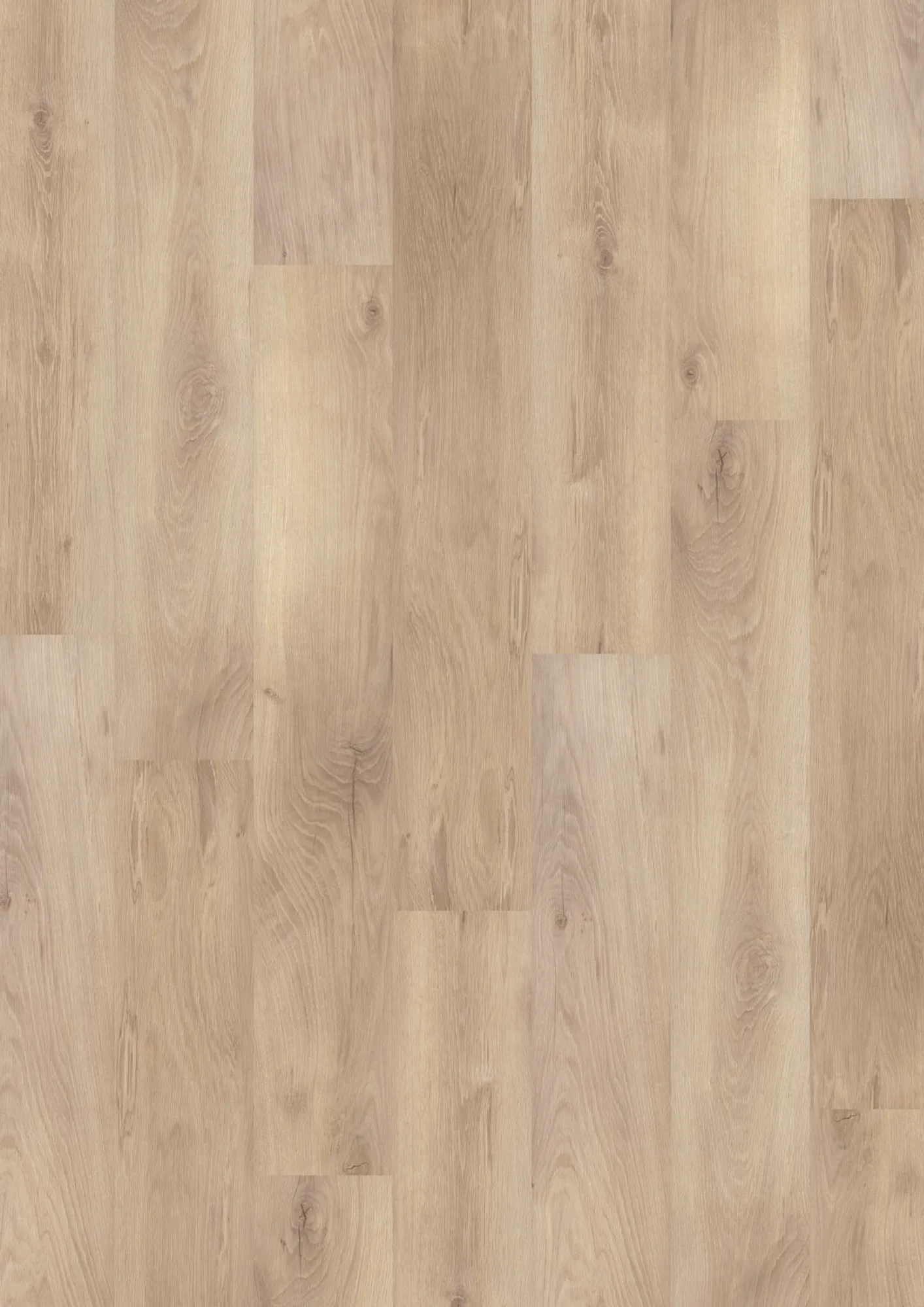 JOKA® DESIGN 555 Dryback | 5314 Grey Shad.Oak | Klebe-Vinylboden