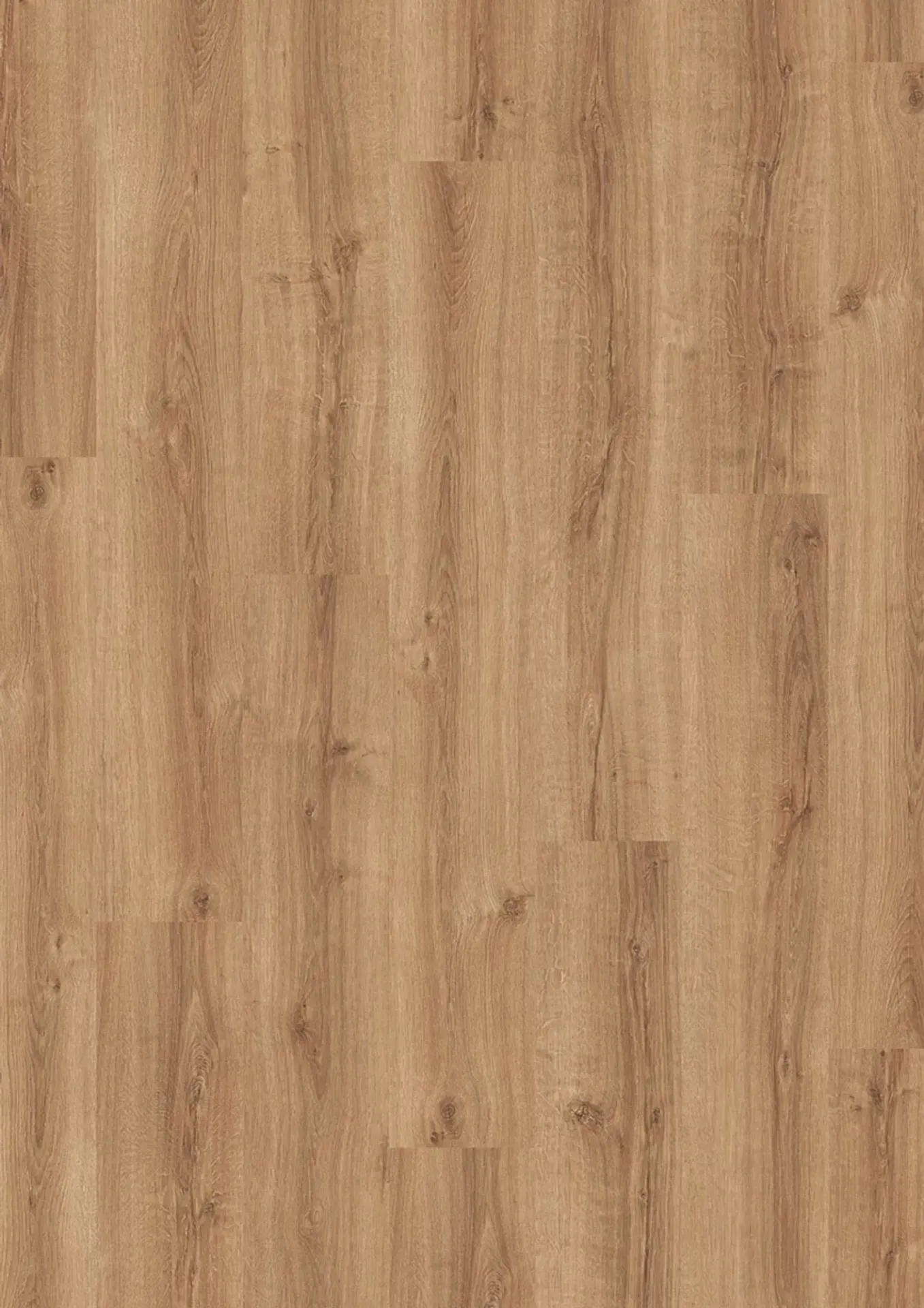 Summer Oak