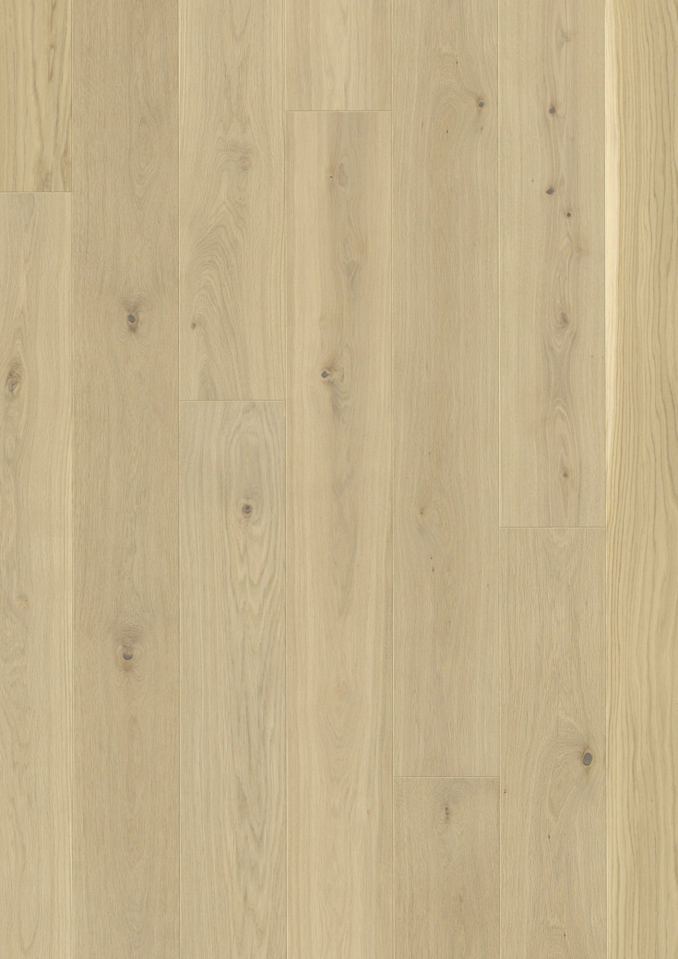 JOKA 130 XL CASTLE DIELE / Fertigparkett 2-S mit Nut u.Feder-System | CE504 Eiche nova g.VILLA V4VP