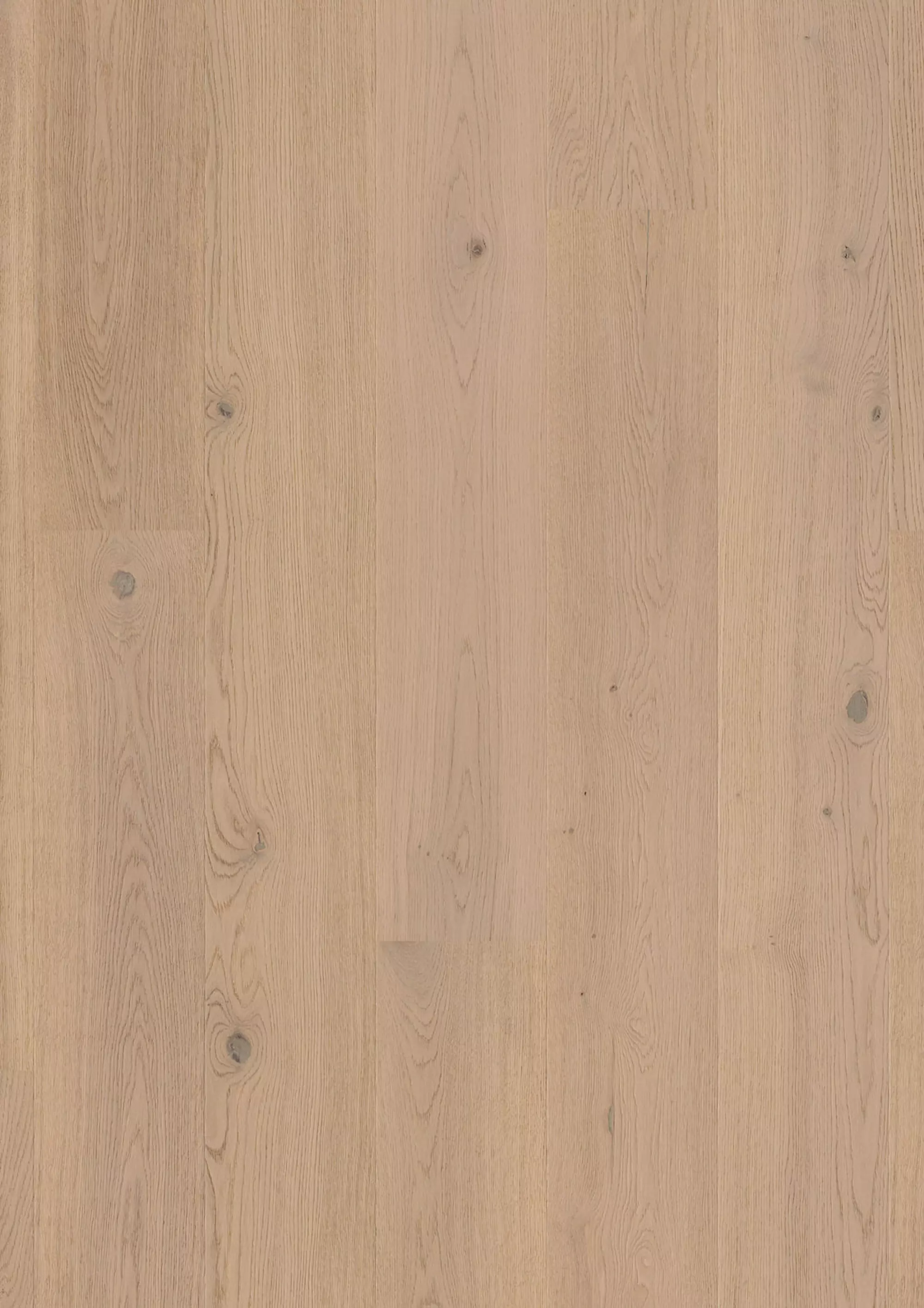 JOKA Parkett CALGARY 527LD 3-S Landhausdiele | E3407 Eiche topas g. NATURE VP