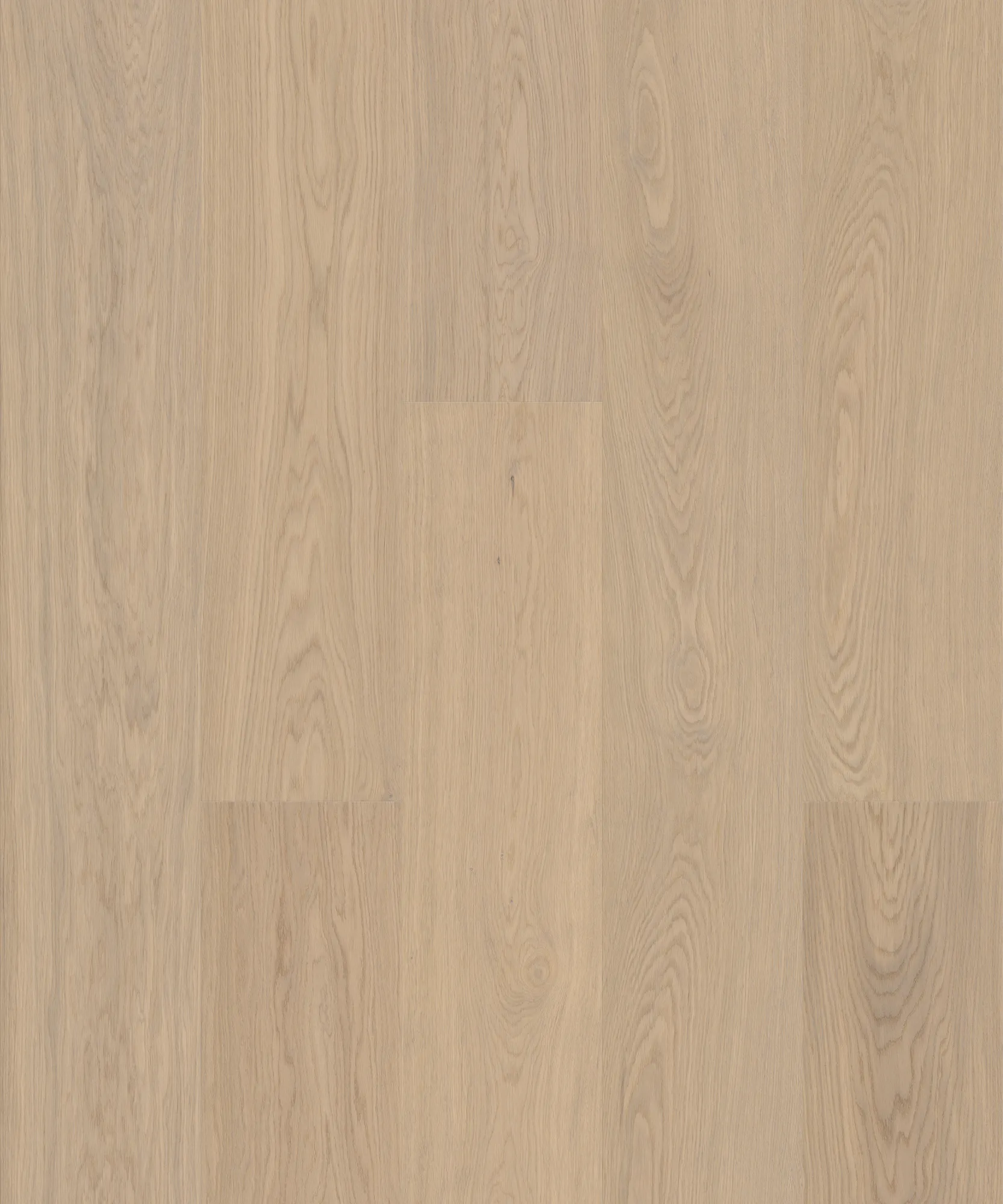 JOKA ATIVO 500 XXL Naturholzboden Landhausdiele 'AE165 Oak balmy white ELEG.VP'