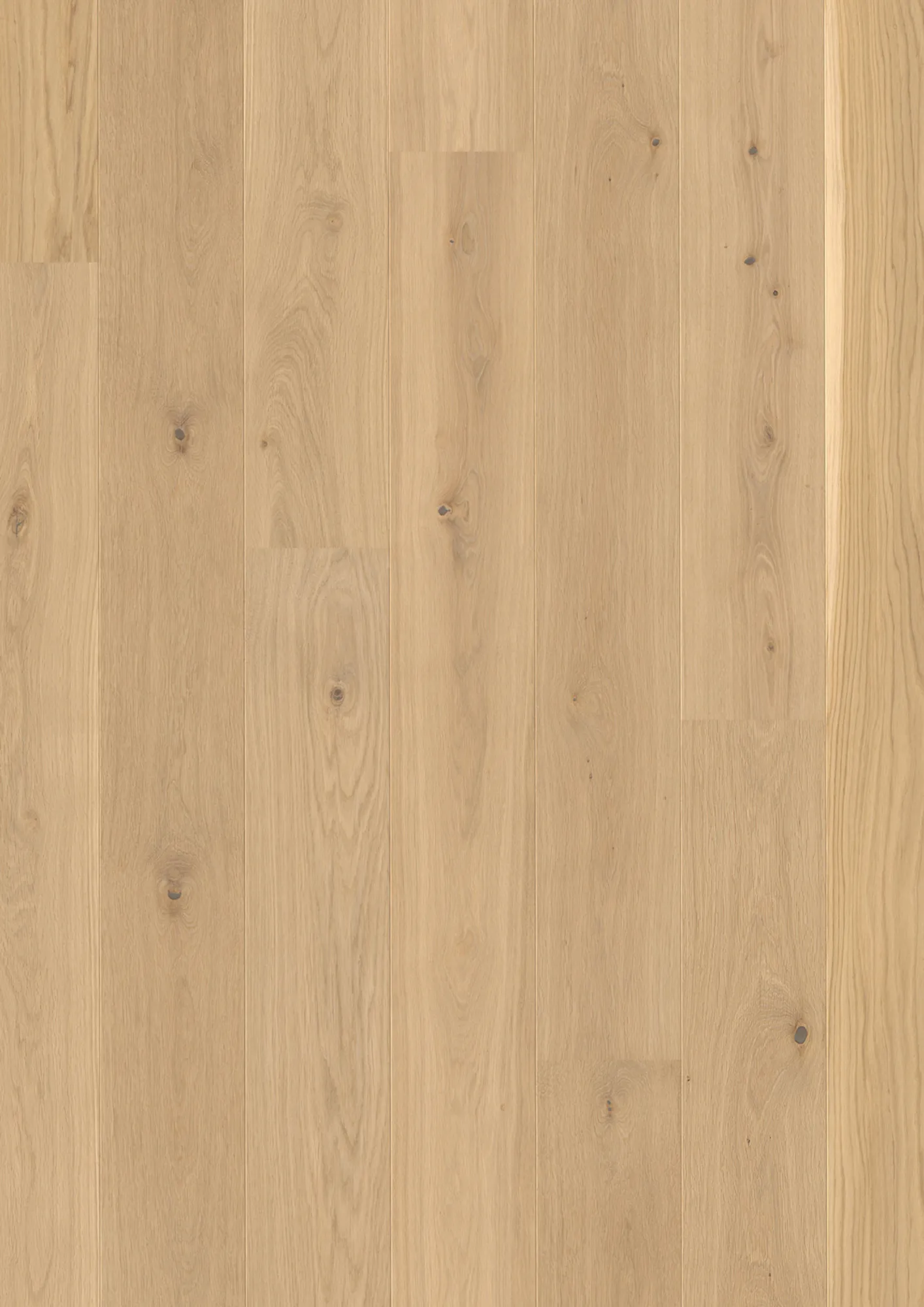 JOKA Parkett CALGARY 527LD 3-S Landhausdiele | E3404 Eiche nova geb.NATURE VP