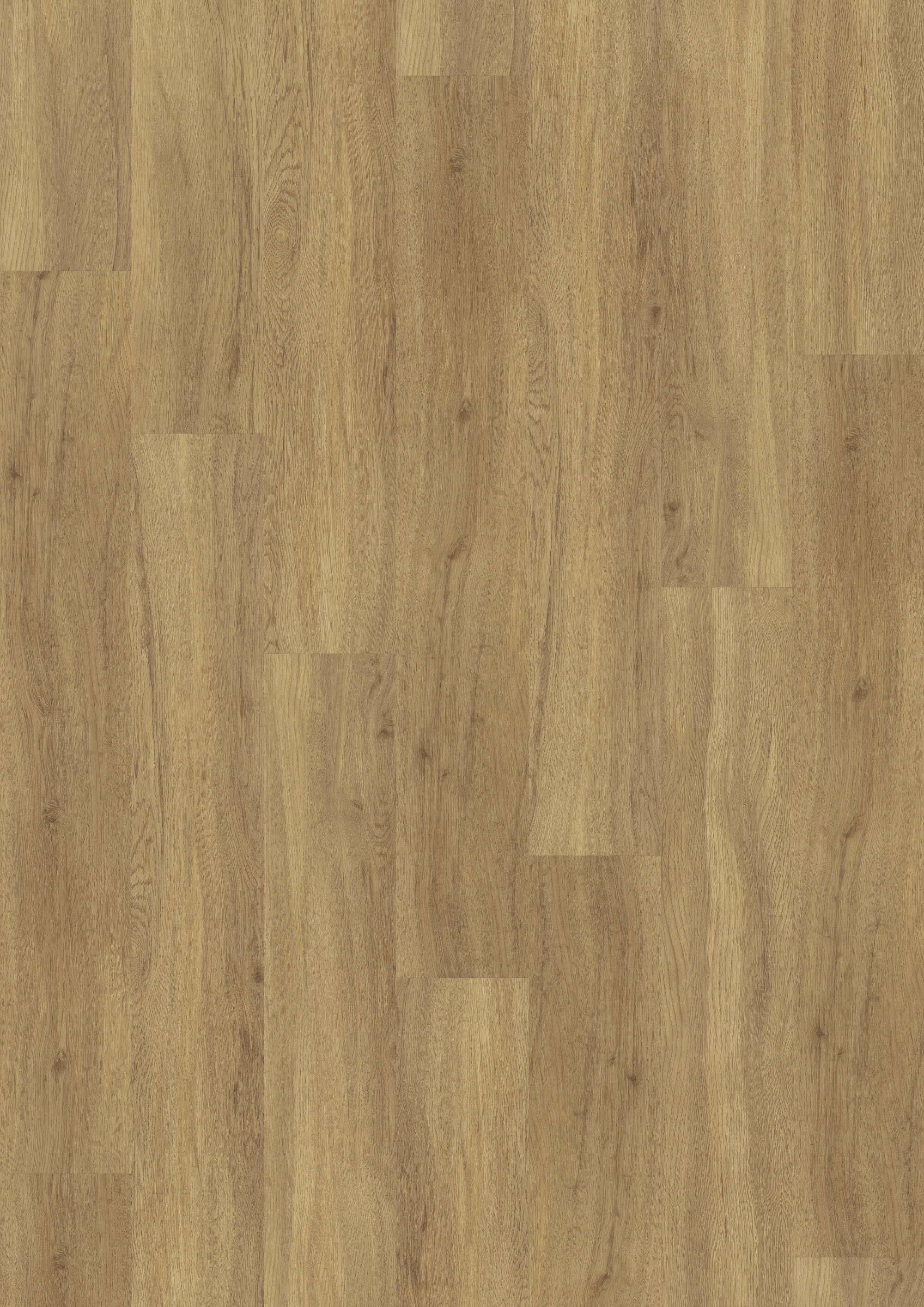 JOKA® DESIGN 340 - 2812 Pure Oak