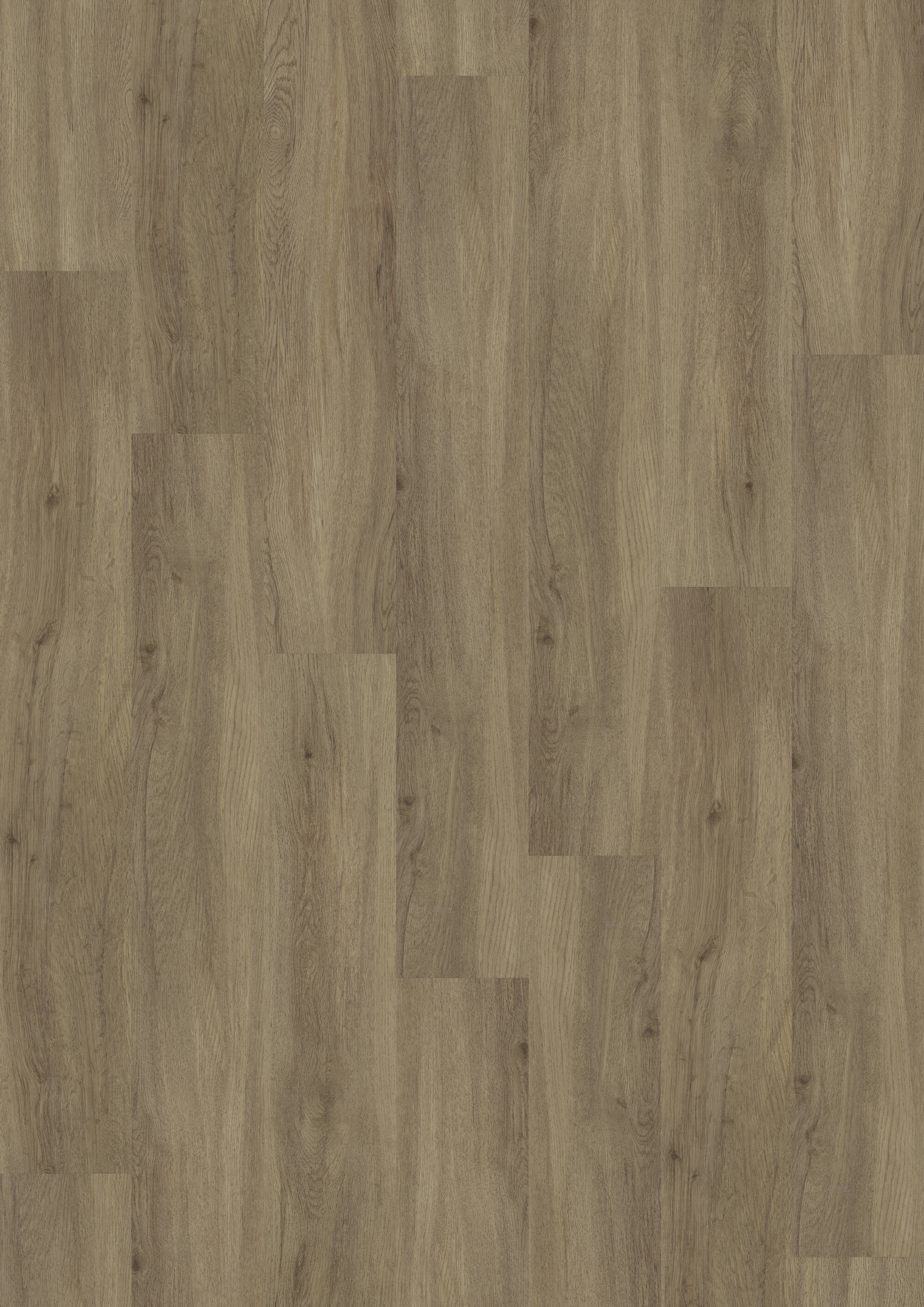 JOKA® DESIGN 340 - 2811 Airy Oak