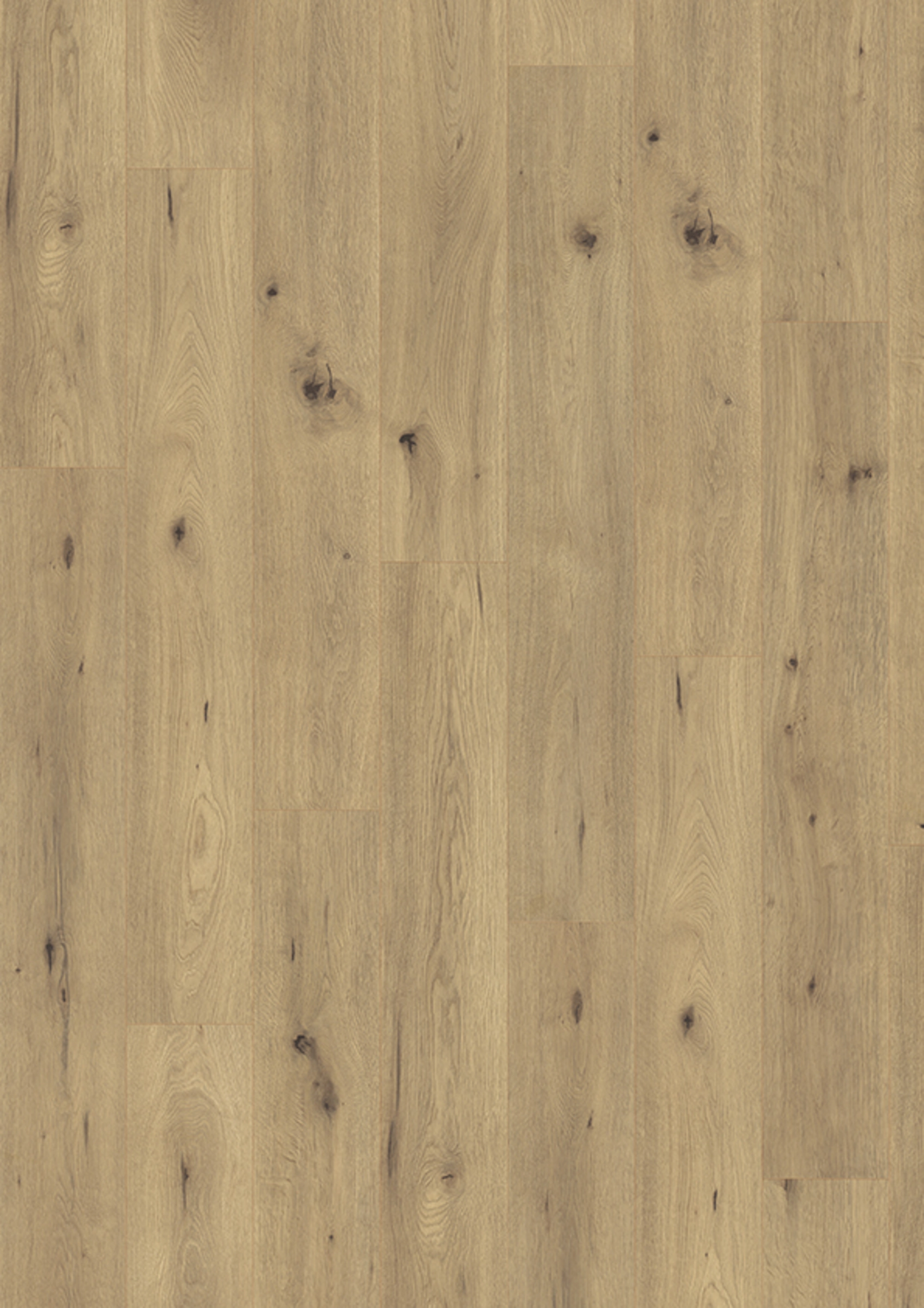 JOKA Laminat MADISON CITY 431NP NormalPlank | 4844-Oak spirit 1-St. AS