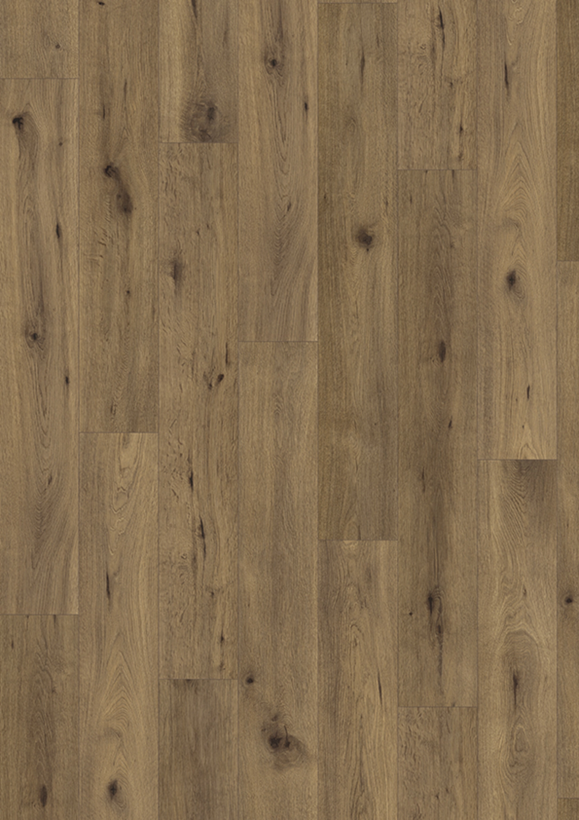 JOKA Laminat MADISON CITY 431NP NormalPlank | 4846-Oak trust 1-St. AS