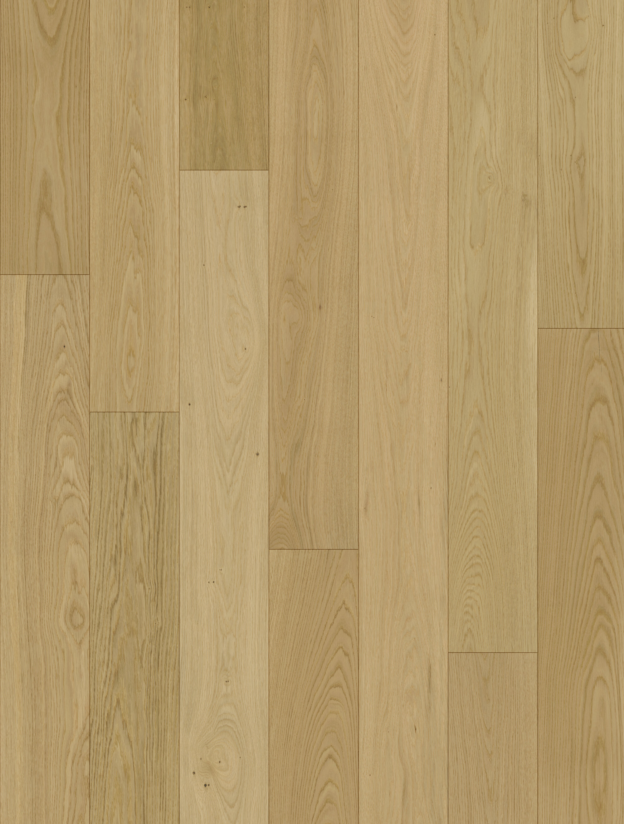 Nahaufnahme eines hellen Eichenholz Fußbodens mit natürlicher Maserung