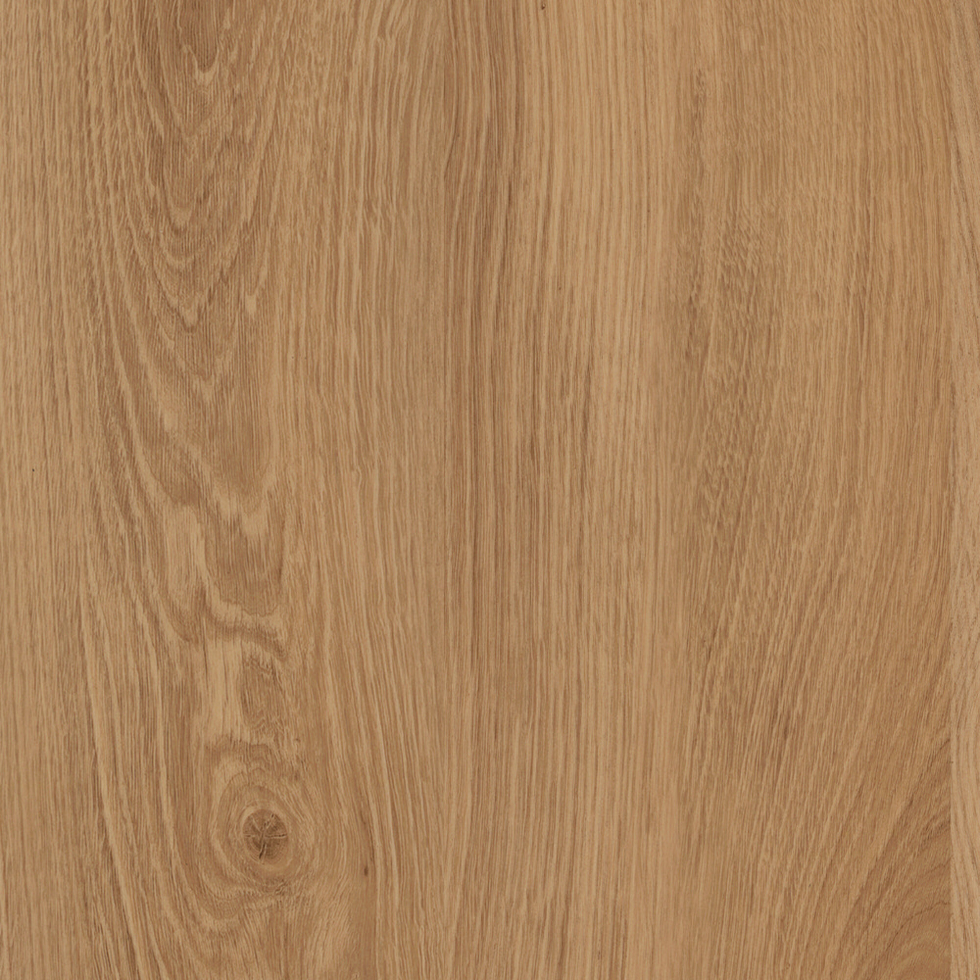 JOKA® DESIGN 340 - 2854 Fresh Oak