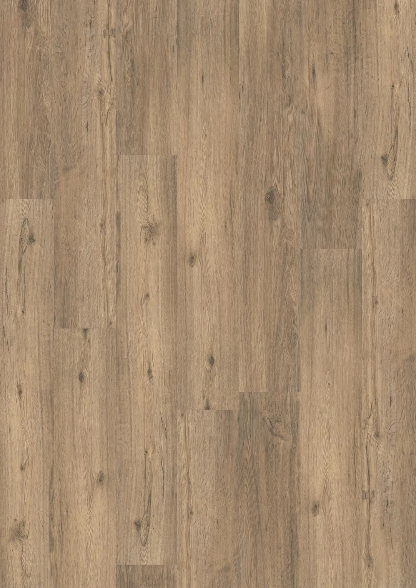 JOKA DESIGN 555 Click - Rigid Klick-Vinyl mit integriertem Trittschall - 509 Spring Oak