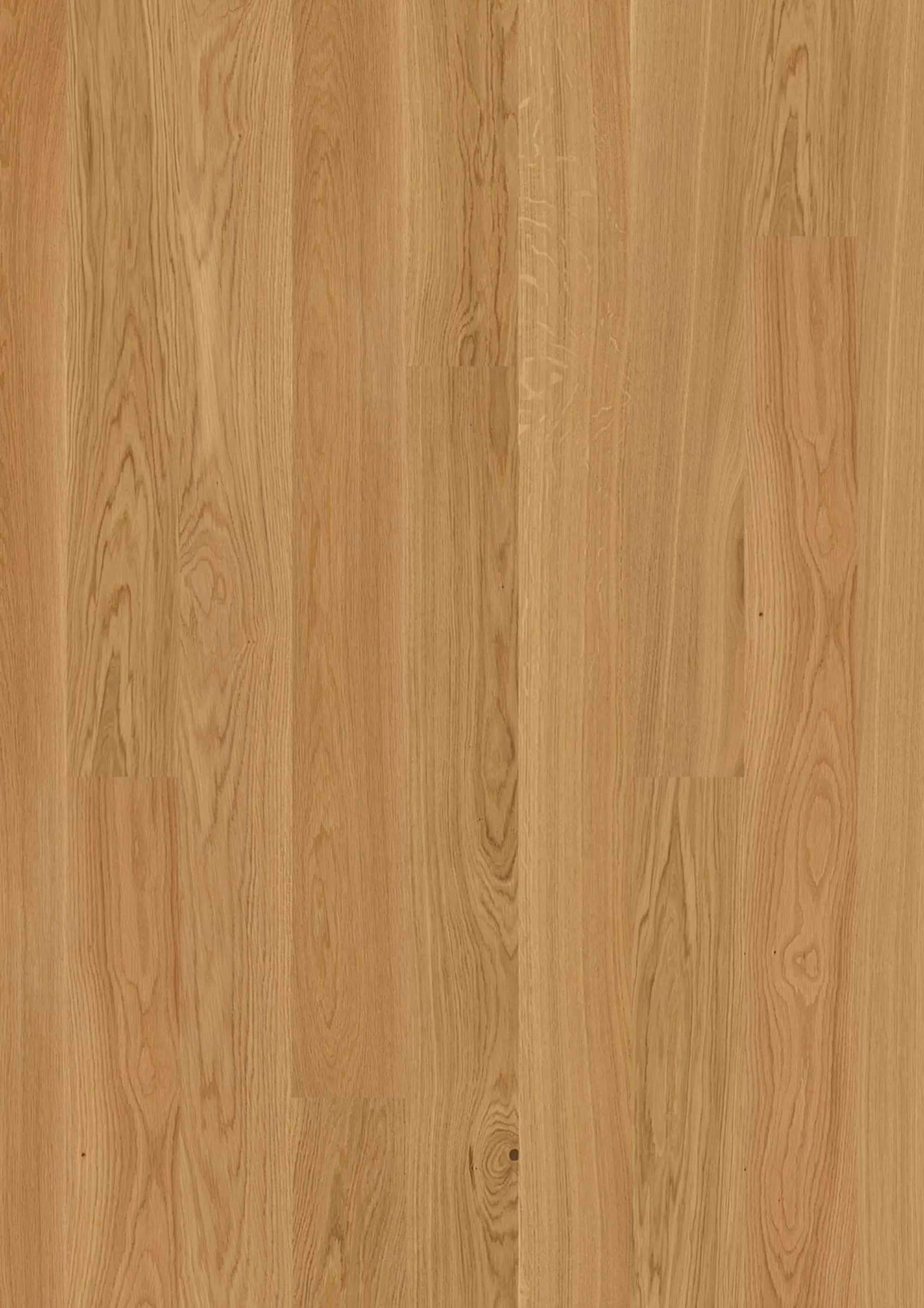 JOKA Parkett CALGARY 527LD EDITION 3-S Landhausdiele | E0913 Eiche geb. ELEGANCE ÖL