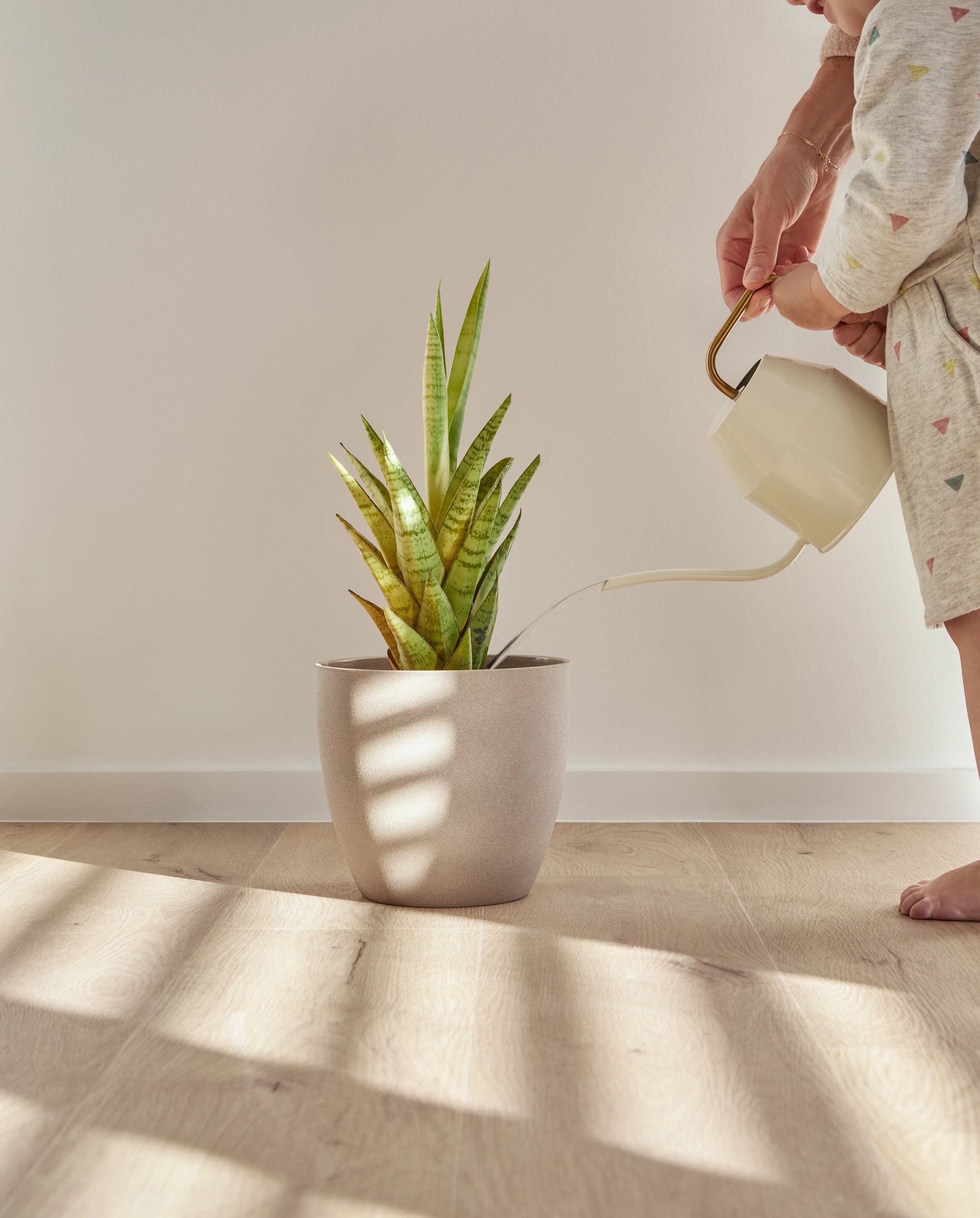 COREtec Rigid Klick-Vinyl 'Forest' - Naturals - 50 LVP 806