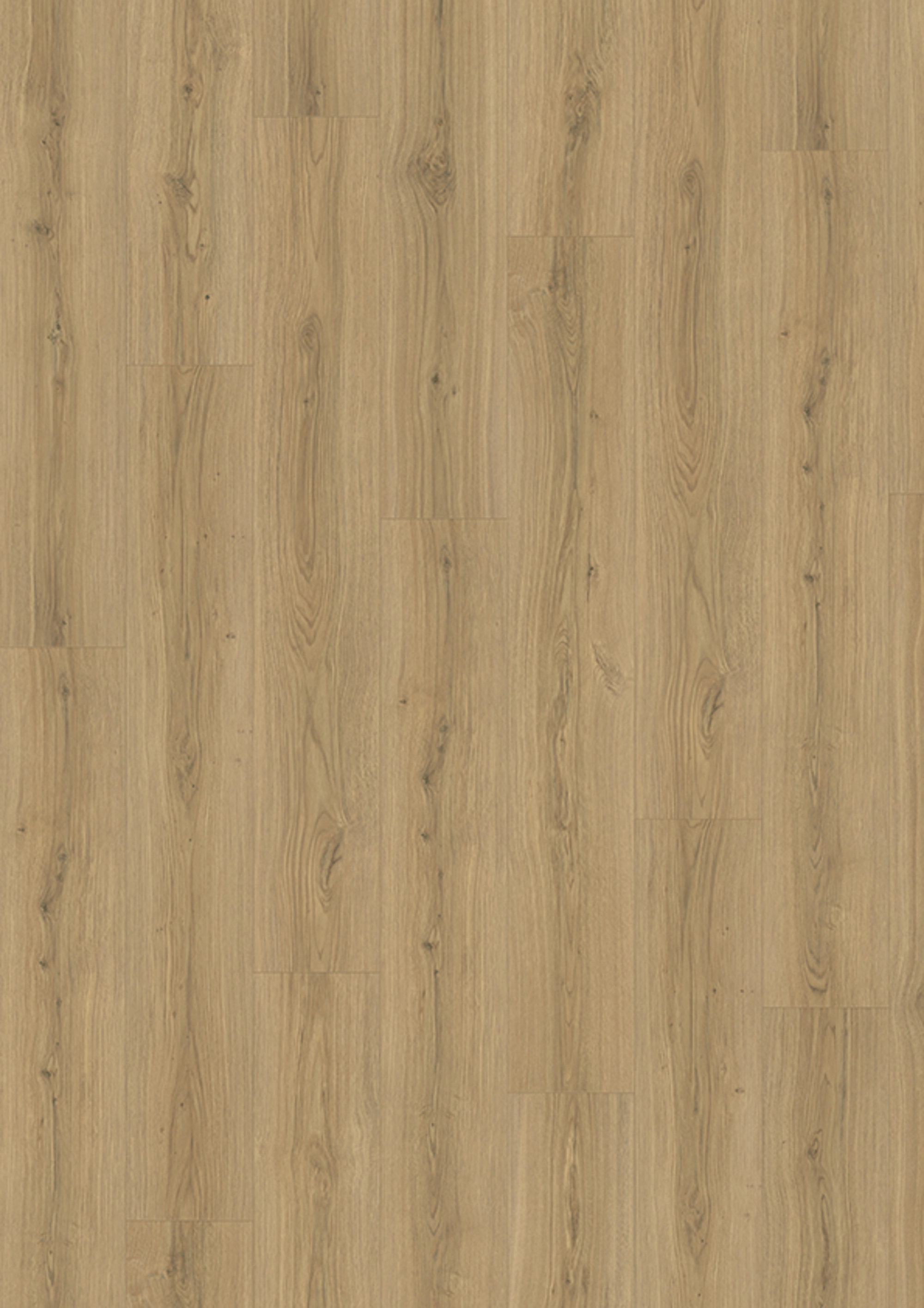 JOKA Laminat SKYLINE 533NP NormalPlank | 5724-Oak capital warm 1-St.SP