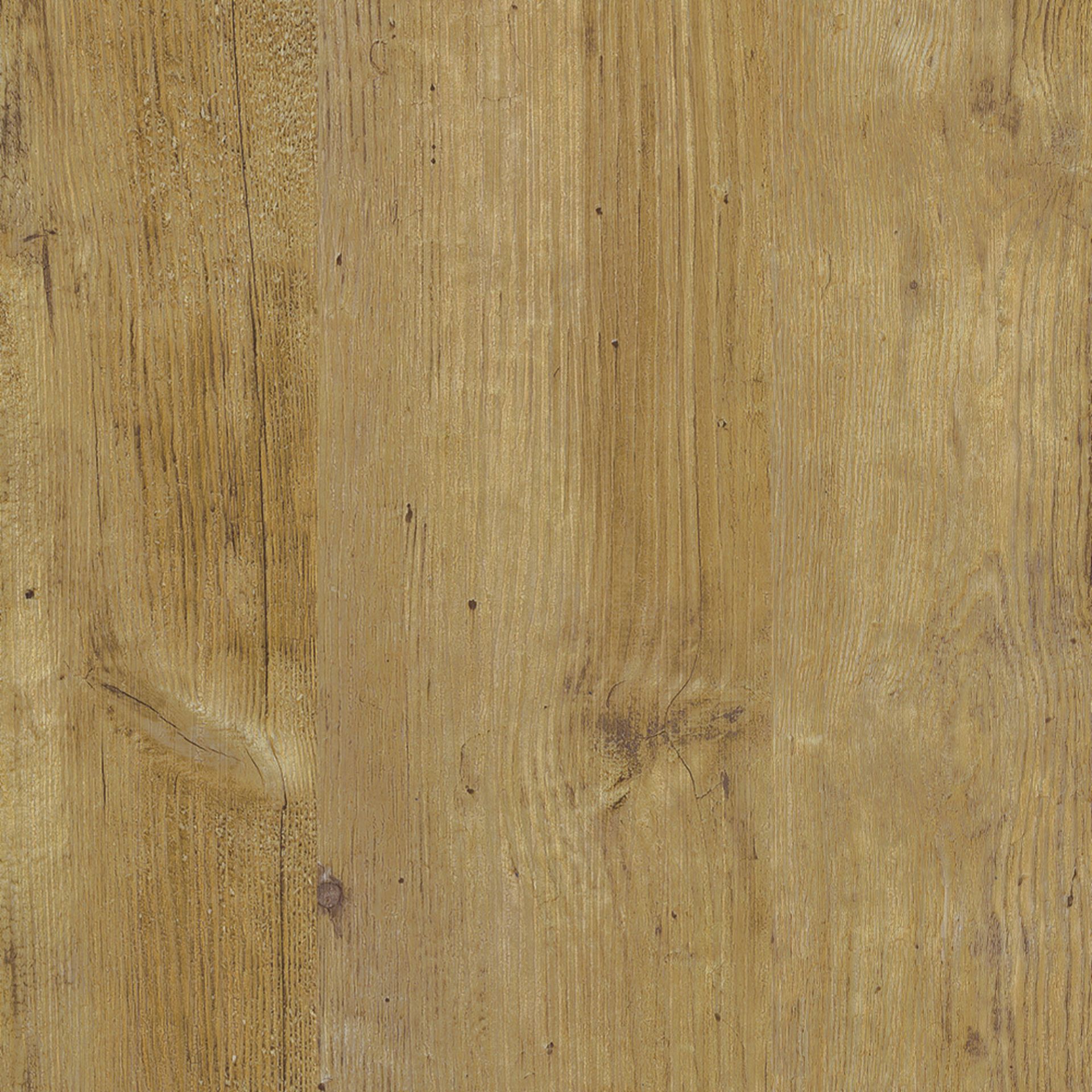 Wormy Light Oak