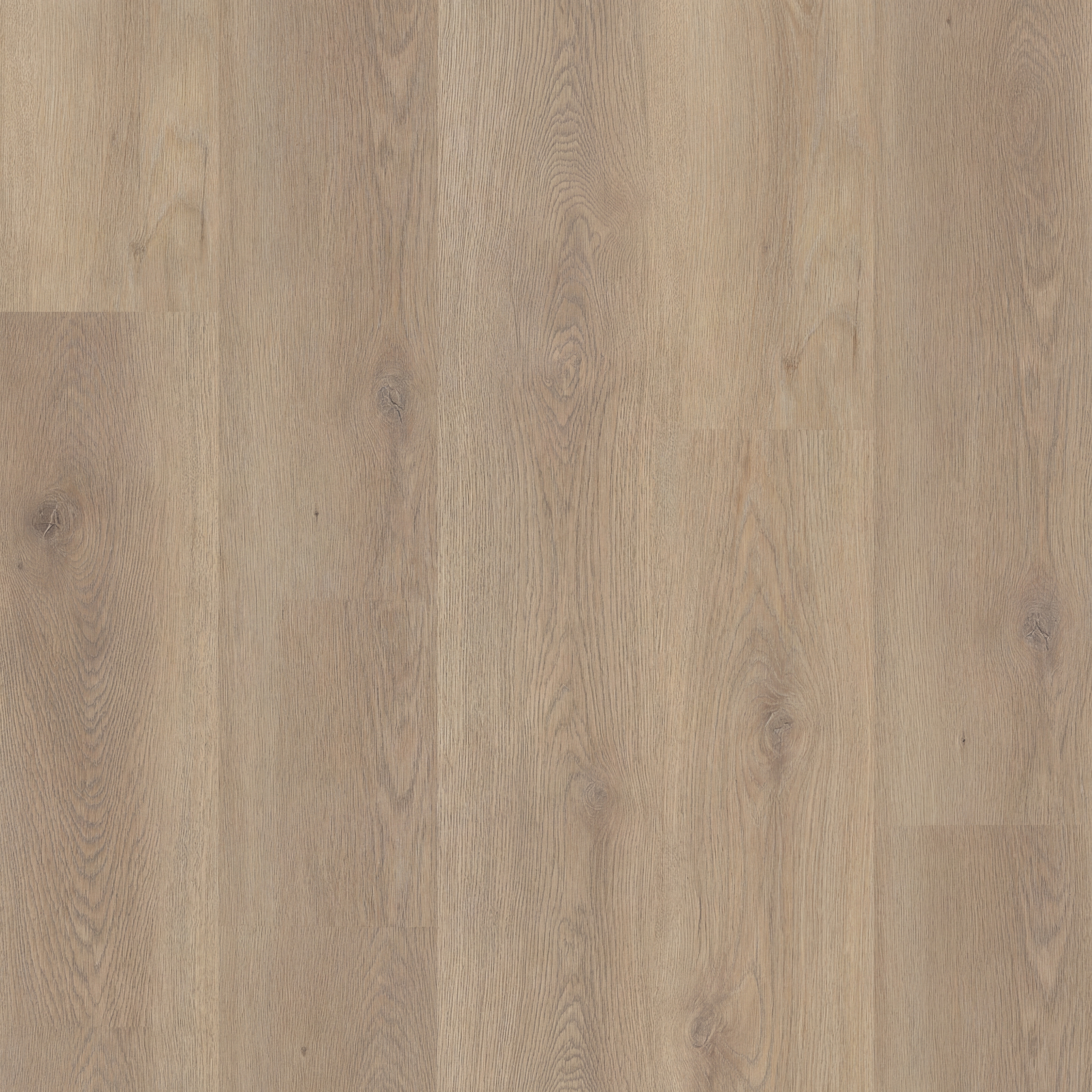 MEGA Rigid Klick-Vinyl Premium Diele 'Meadow 807'