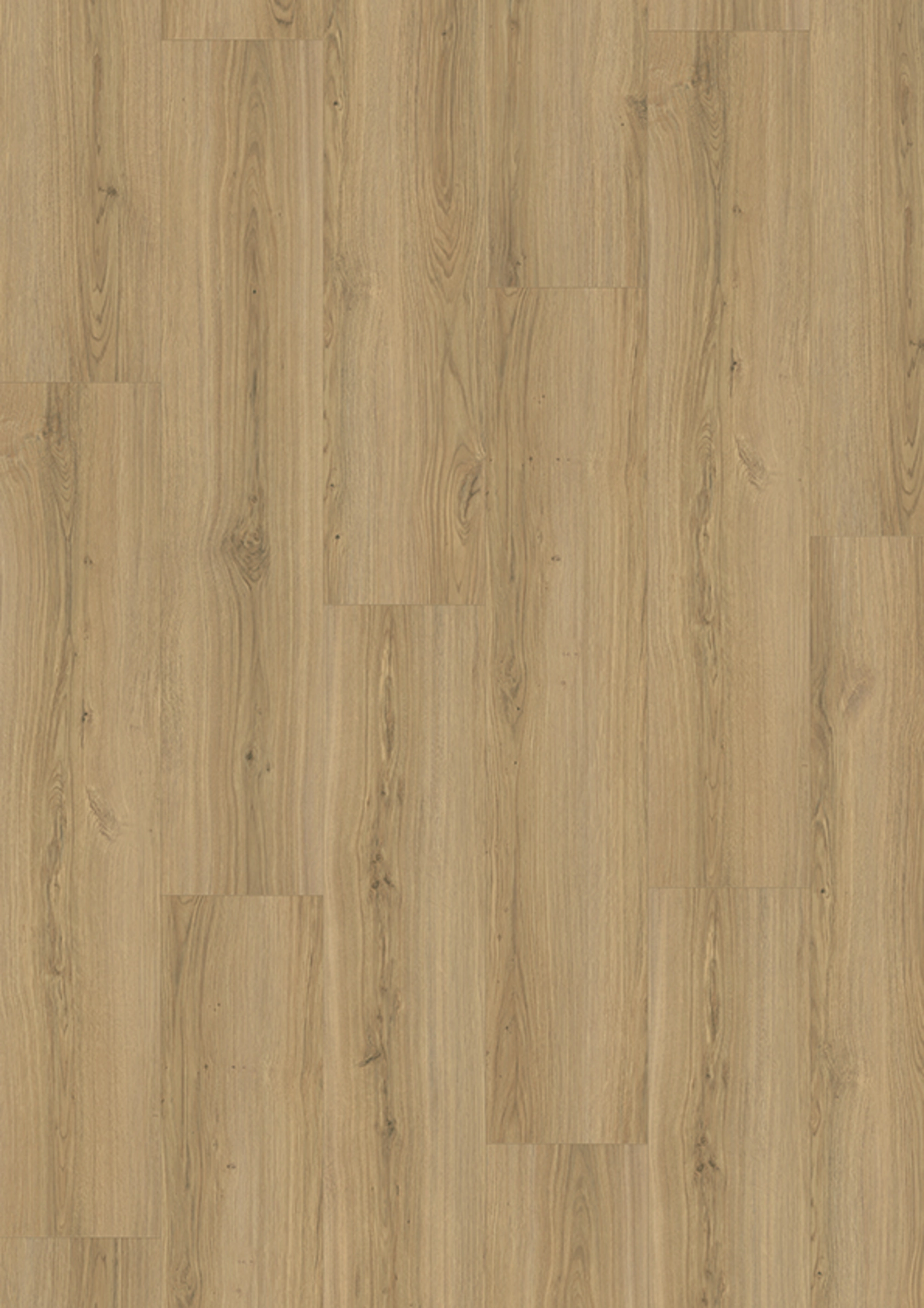 JOKA Laminat SKYLINE 532WP WidePlank | 5824-Oak capital warm 1-St.SP