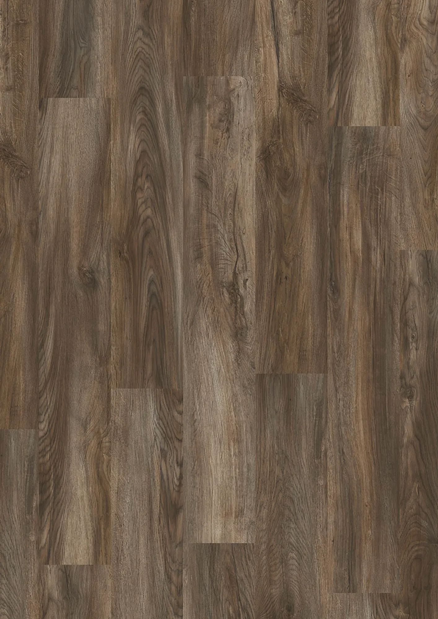 906 Mud Oak EIR