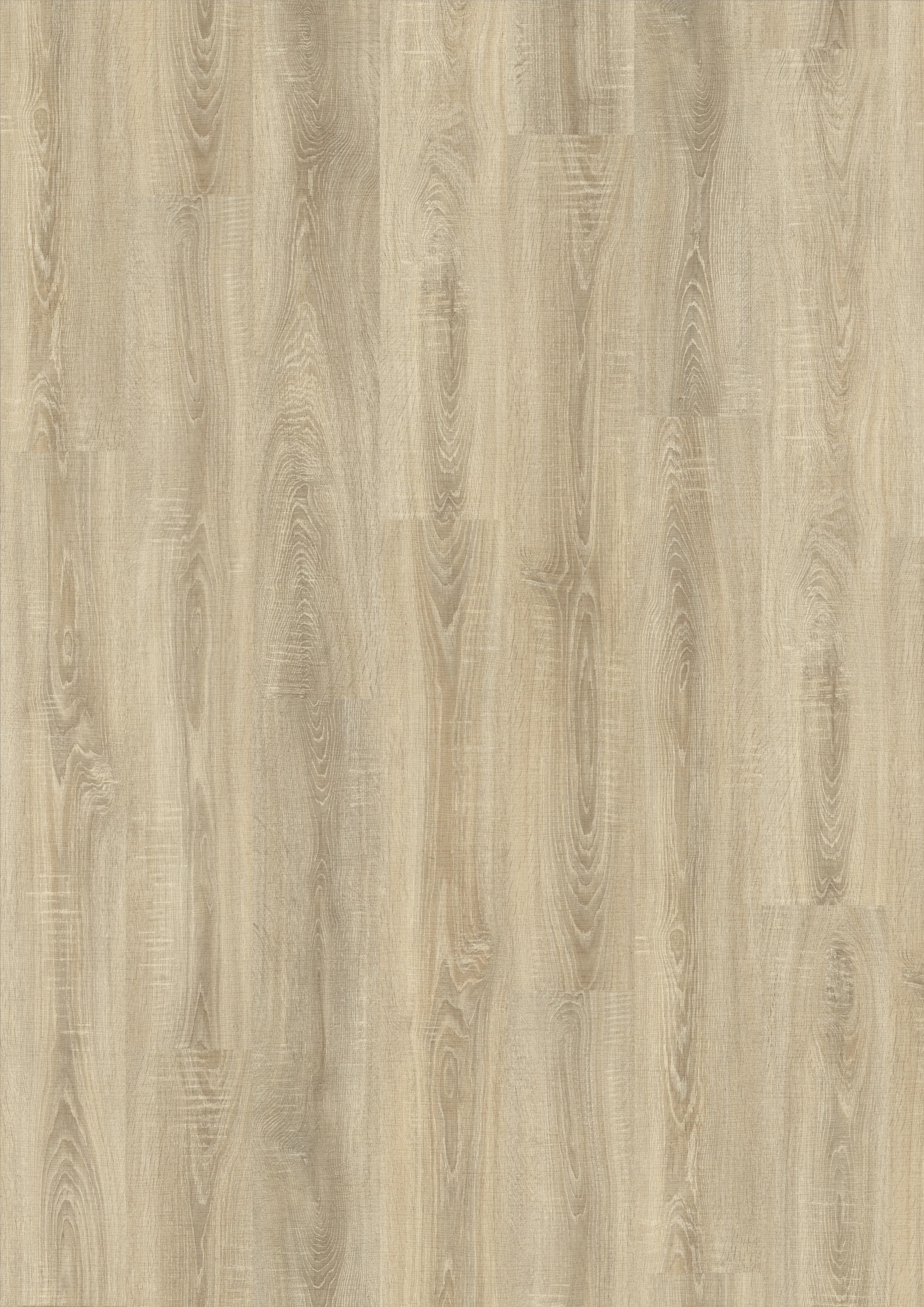 JOKA Laminat MADISON 331NP NormalPlank | 2805-Oak rift cream 1-St.OS *