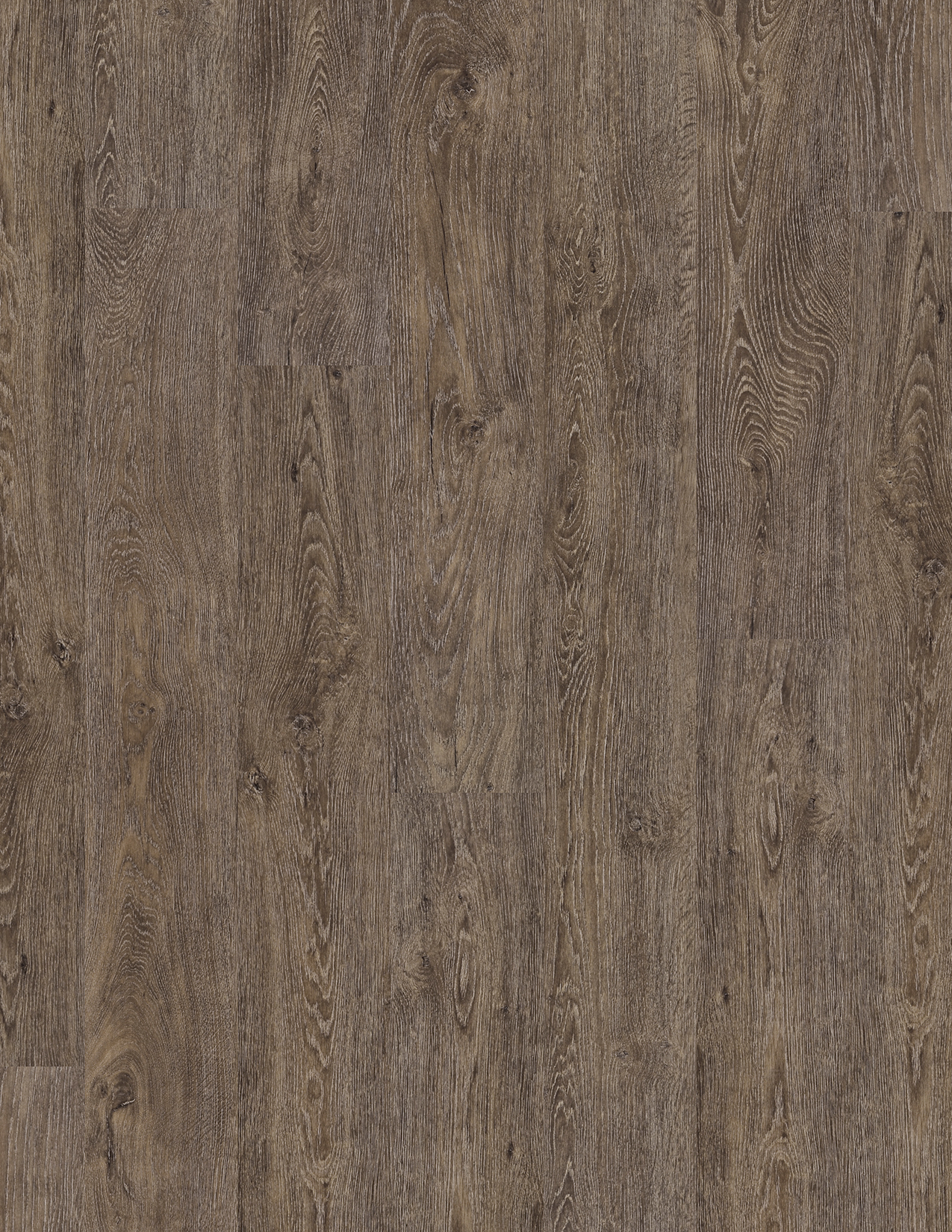 COREtec® Rigid Klick-Vinyl 'Jasper Oak 01' - The Essentials - 50 LVR 9601
